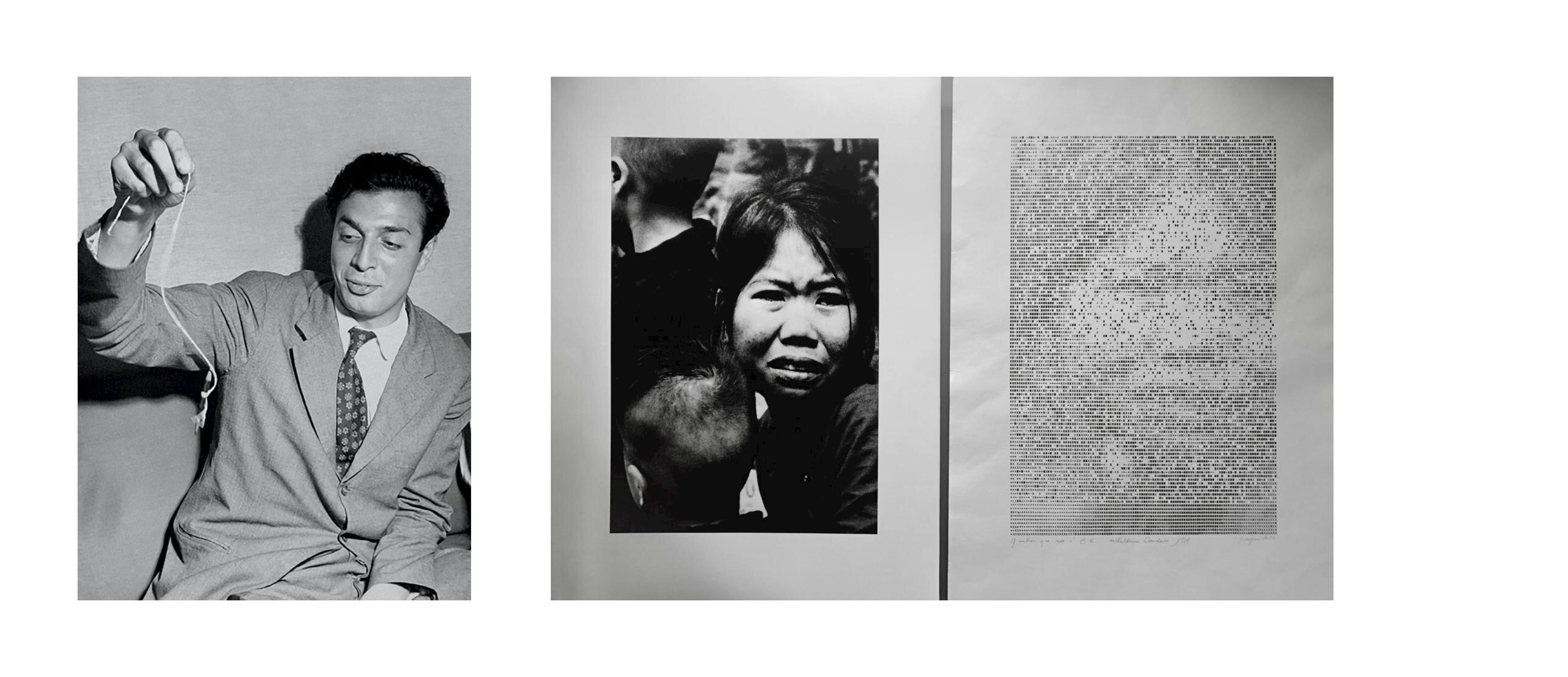 Waldemar Cordeiro photo and art work example