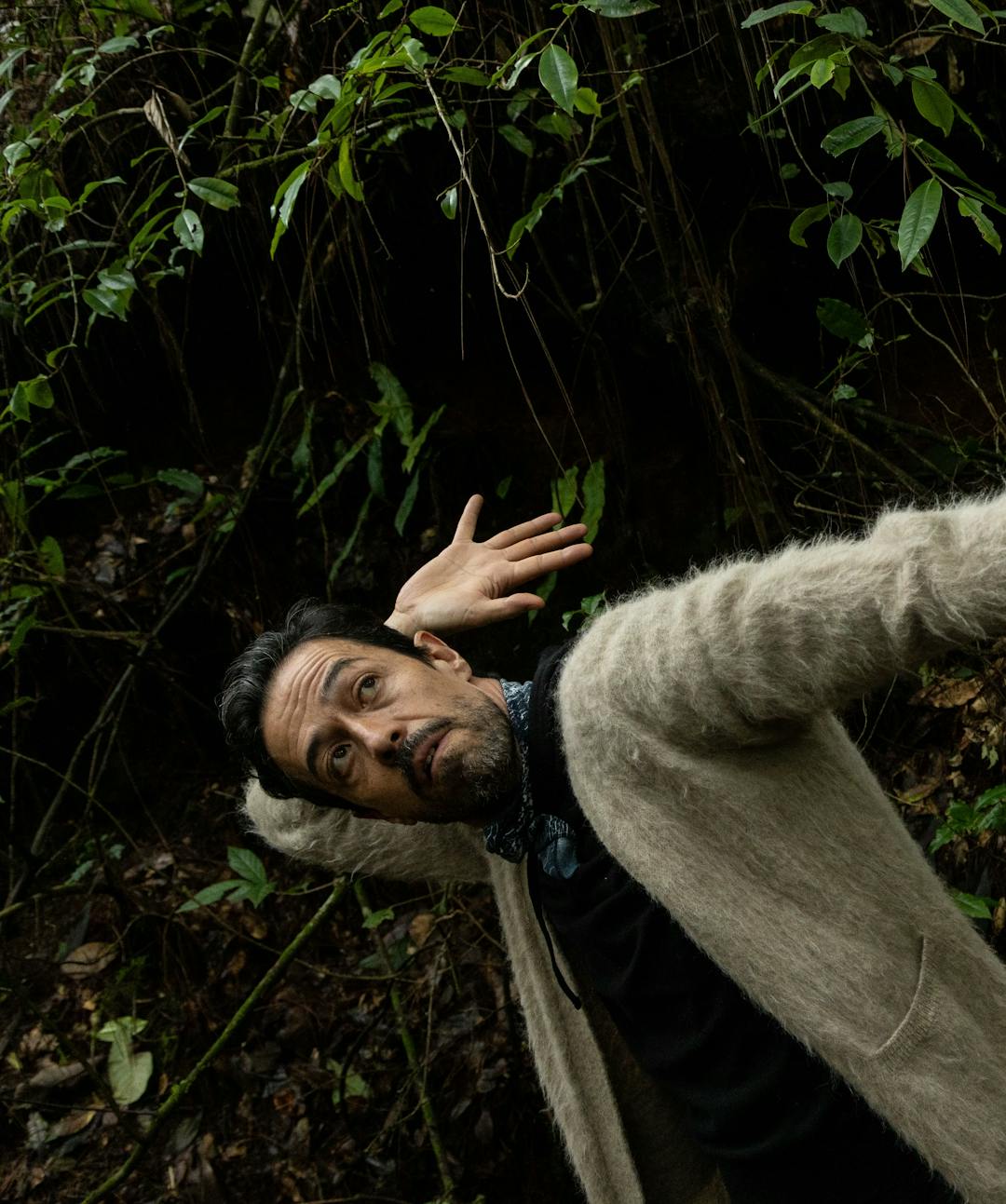 Retrato de Meme de Real