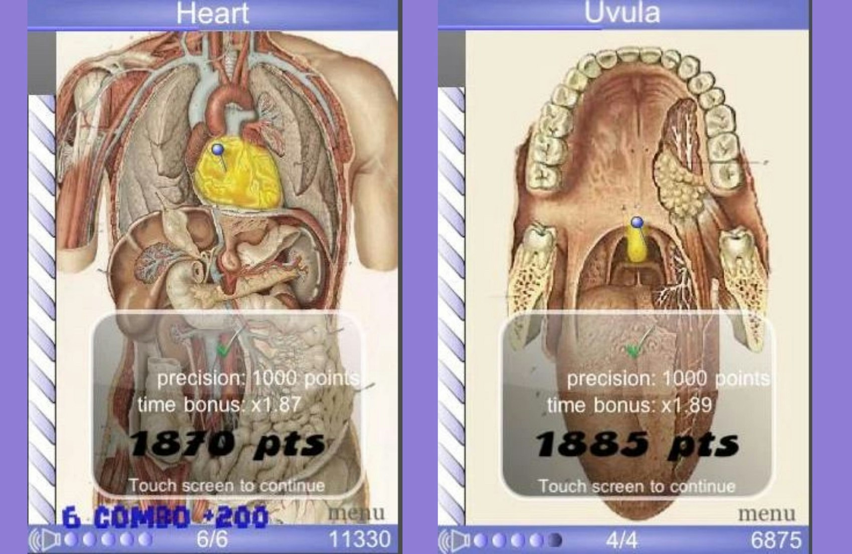 Die App Speed Anatomy zeigt Bilder der menschlichen Anatomie