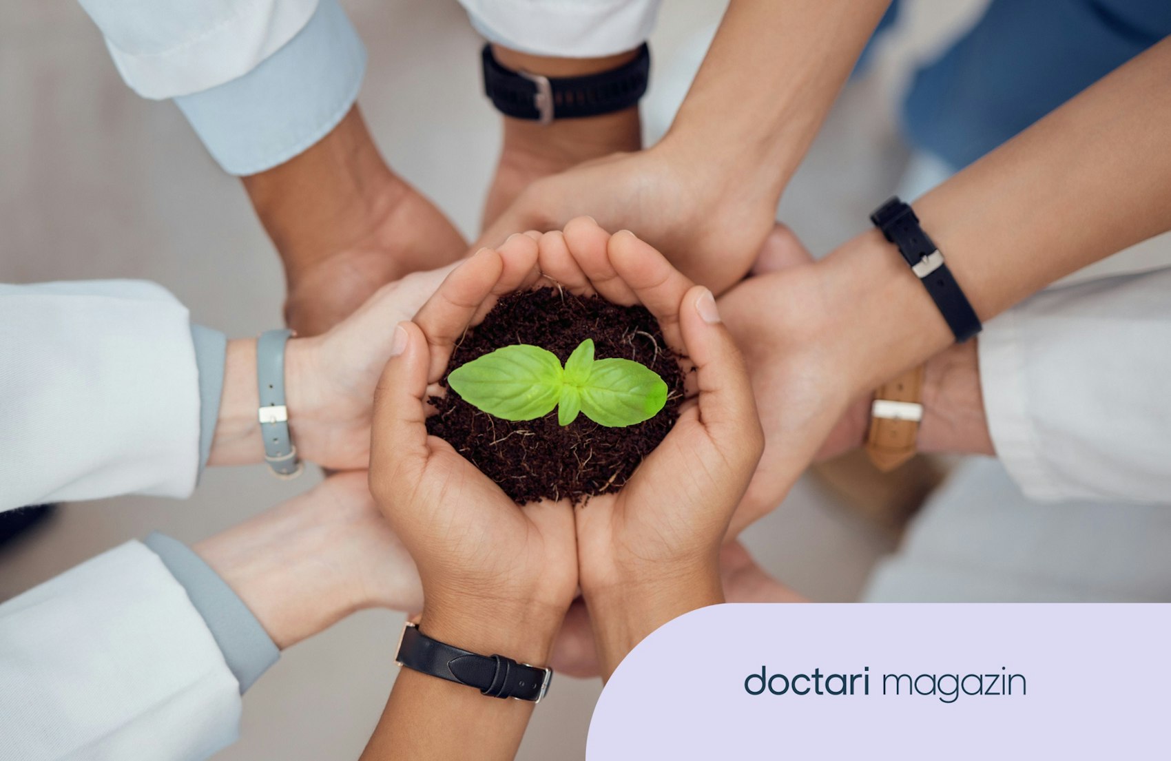Klinikmitarbeitende halten gemeinsam ein kleine, grüne Pflanze.