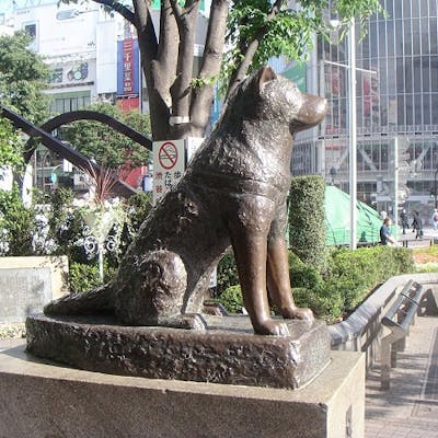 памятник в честь собаки акита-ину Хатико
