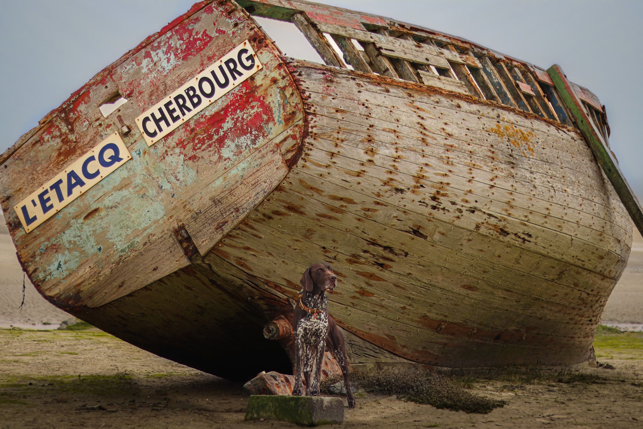 cooptheadventurousgsp