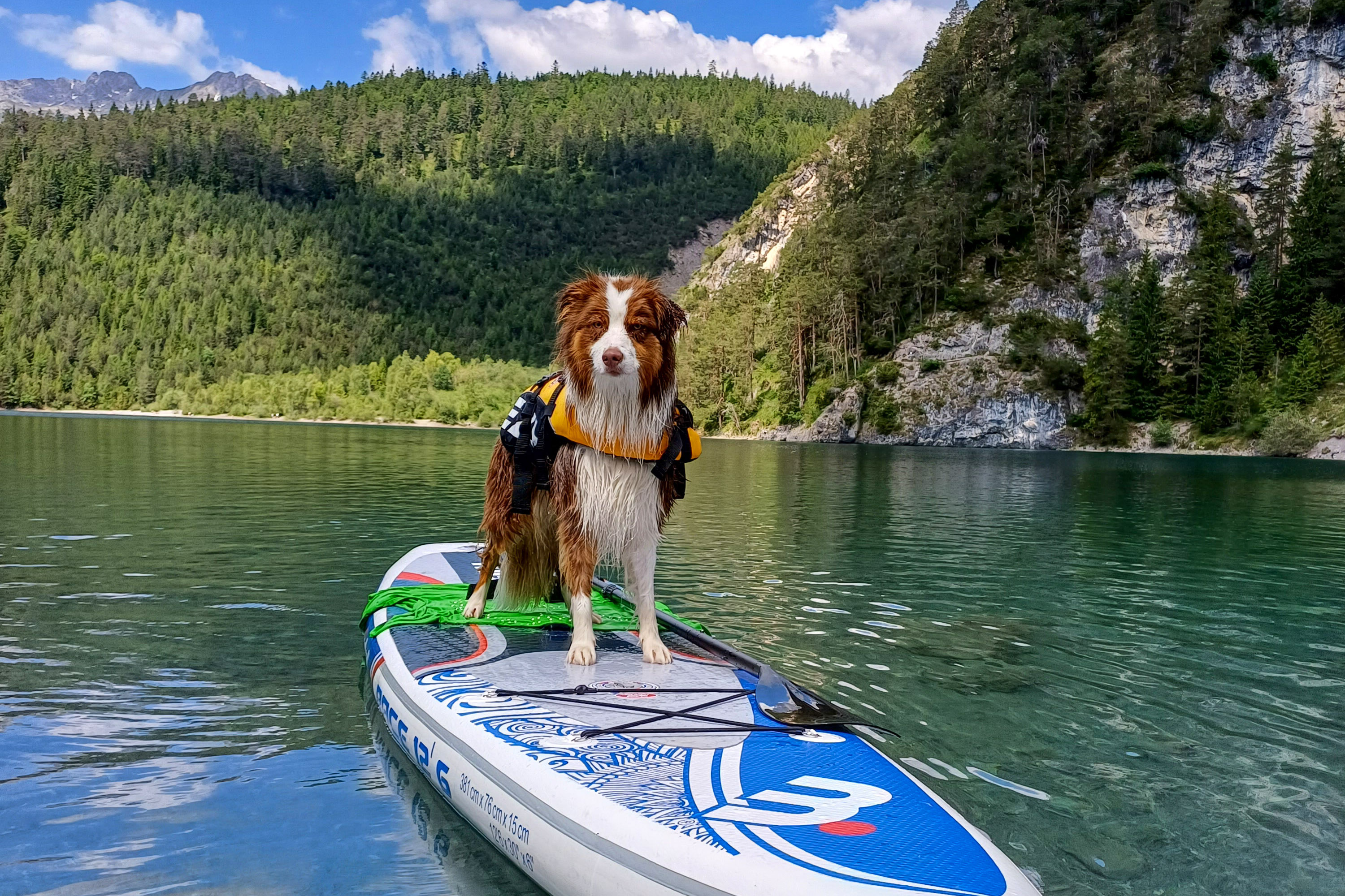 the_adventures.of_alice