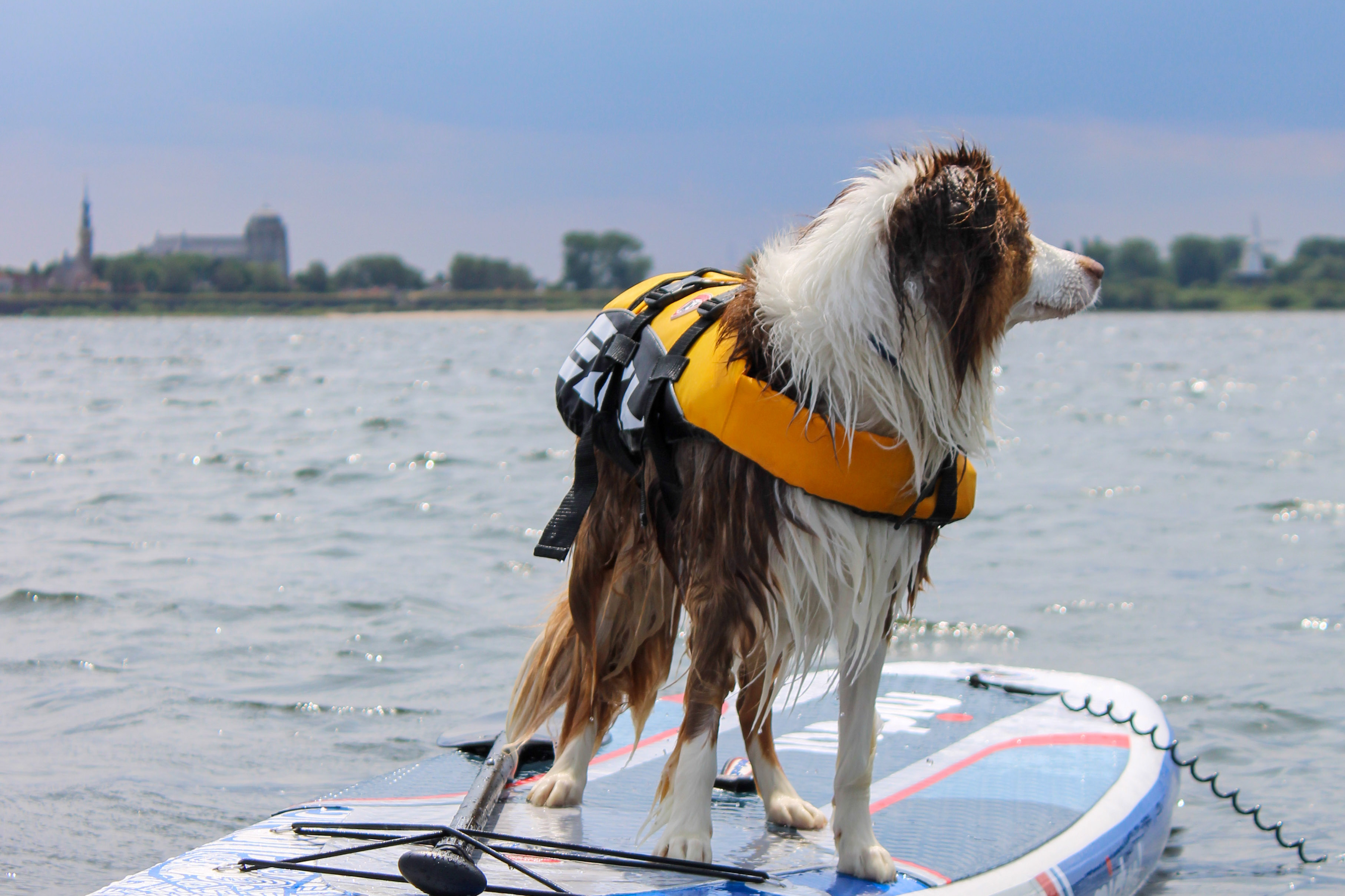 the_adventures.of_alice