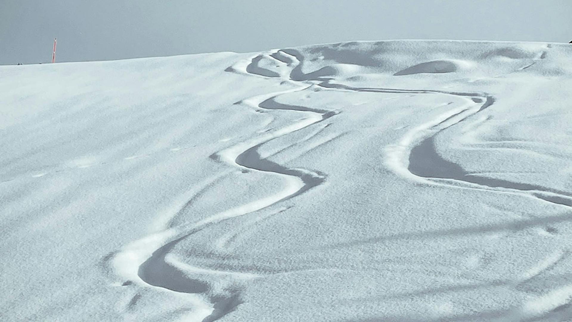 Esperienze e attività stagionali nelle Dolomiti