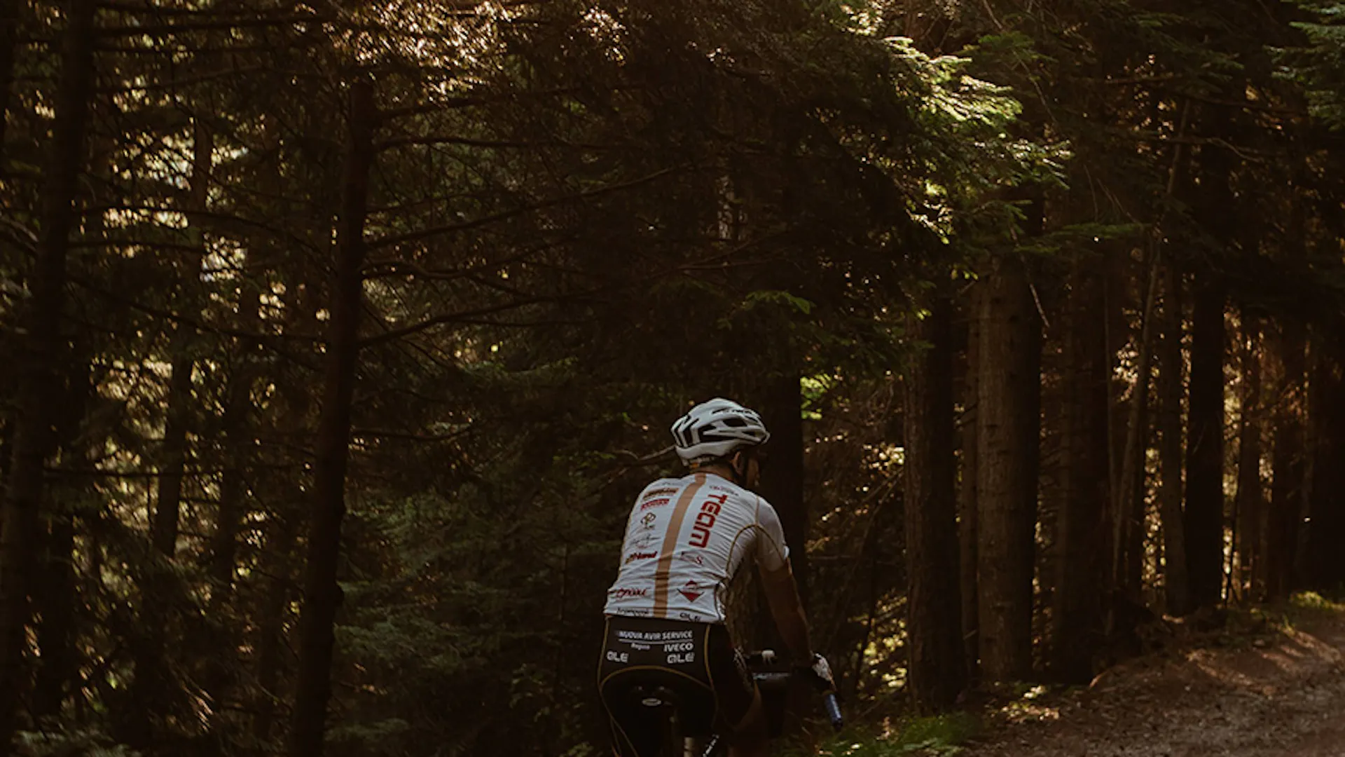 Ciclista nei boschi di Dobbiaco nelle Dolomiti