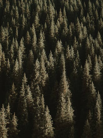 Dolomea Journal e Dolomea Hotels, un nuovo modo di vivere le Dolomiti