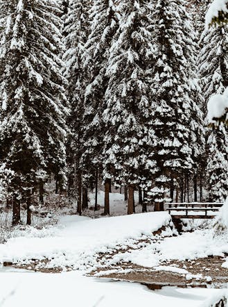 Val Fiscalina Dolomiti di sesto escursione facile