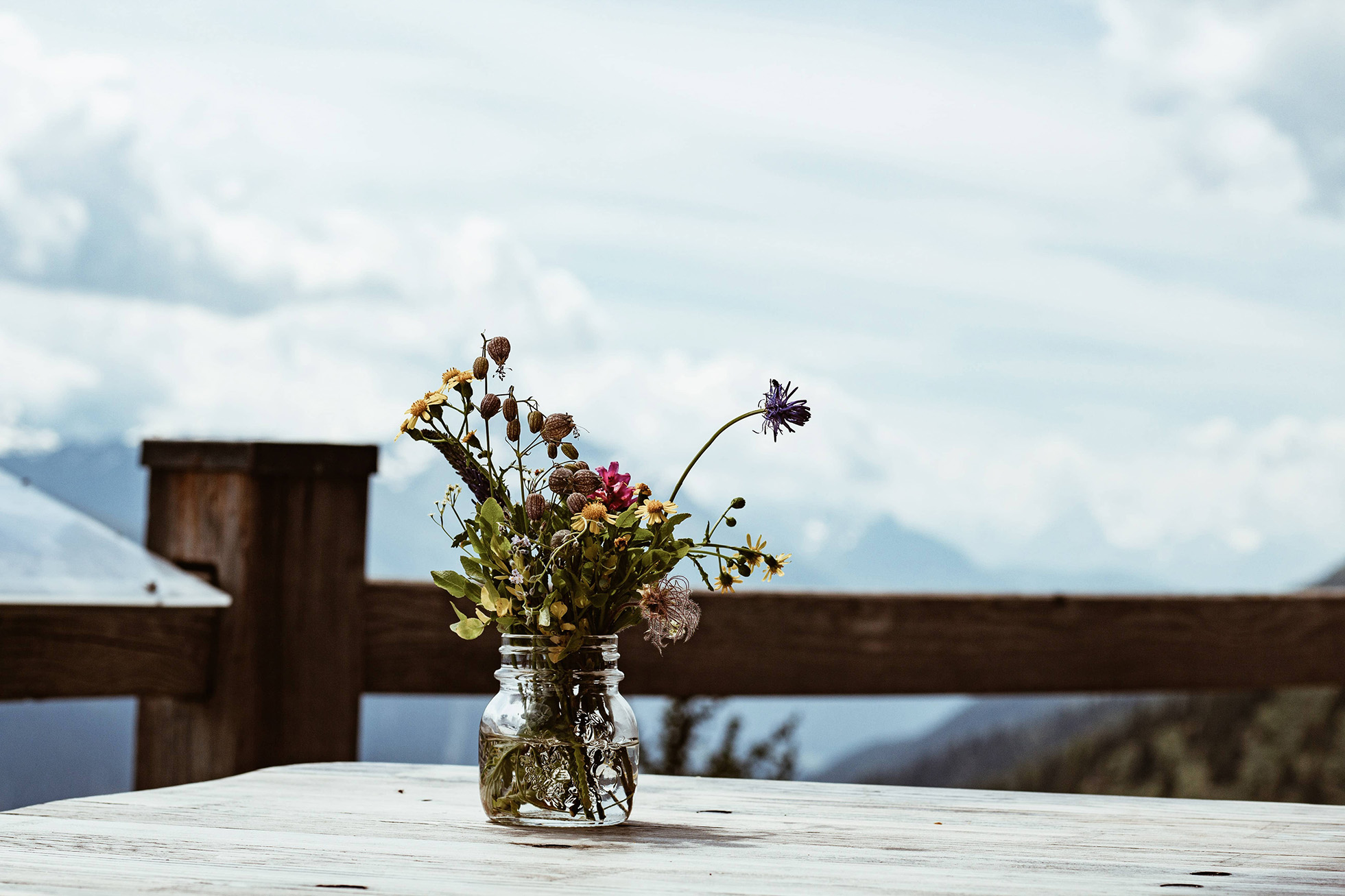 foto di un vaso di fiori sulle Dolomiti - contattaci 