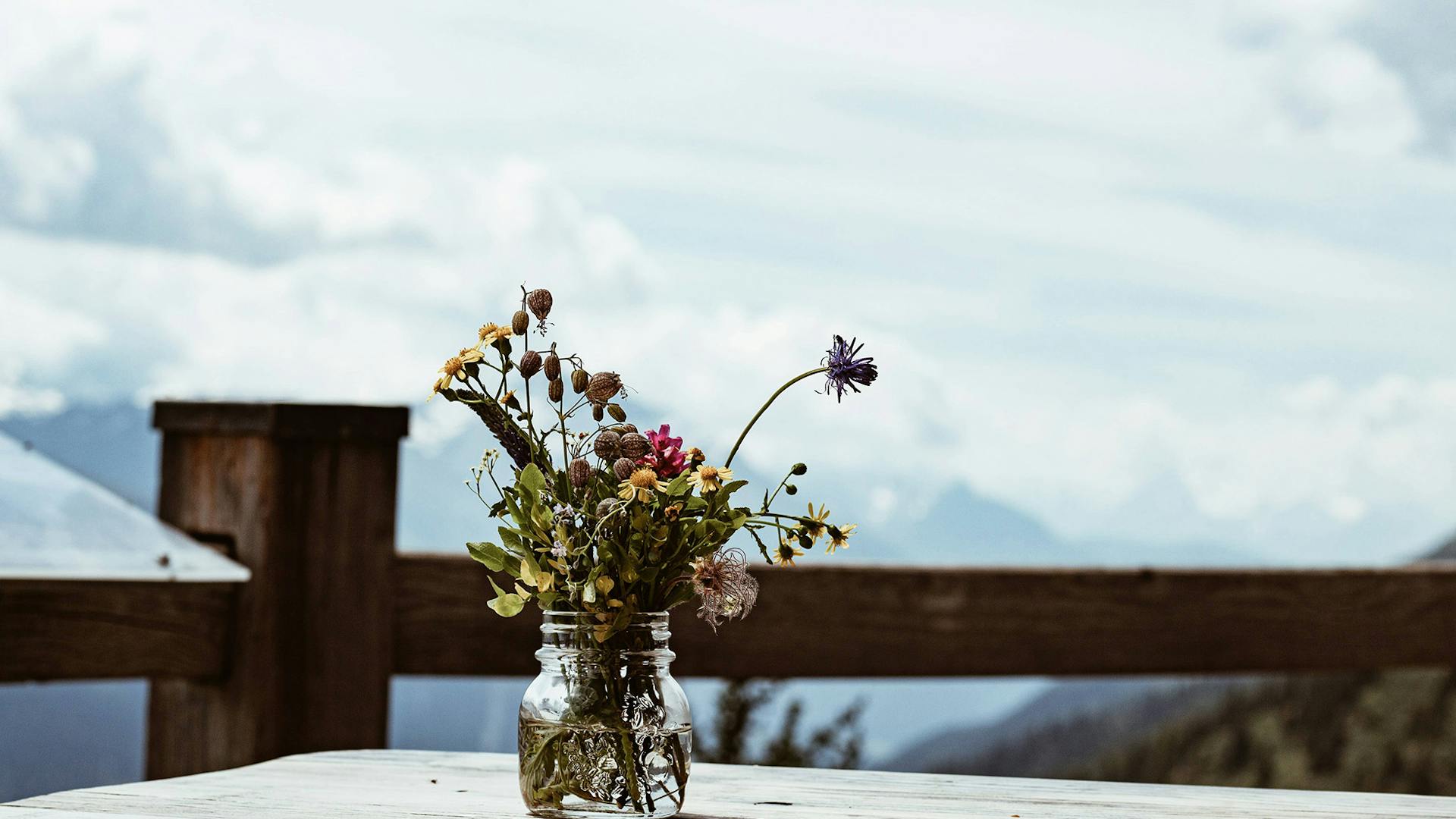 Foto di un vaso di fiori sulle Dolomiti
