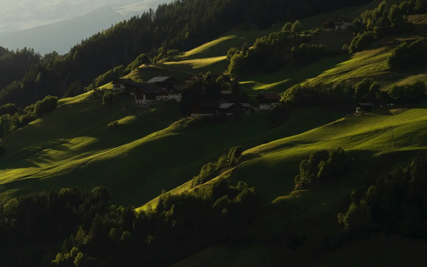Bosco in montagna nella Valle Aurina