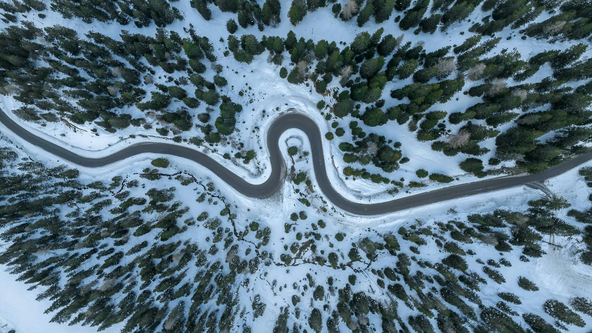 Paesaggio invernale con abeti e pini neve e una strada