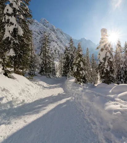 Pista da slittino a Monte Baranci nelle Dolomiti