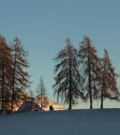 Paesaggio invernale nelle Dolomiti con abeti e pini