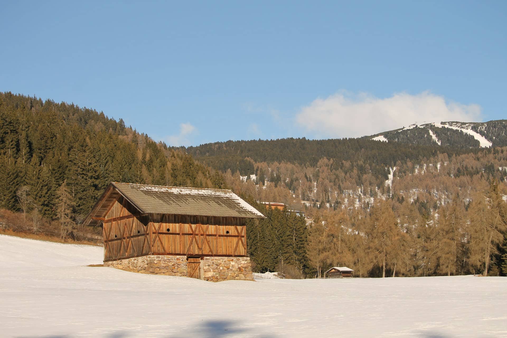 Paesaggio invernale di abeti rossi e pini silvestri con baita tradizionale