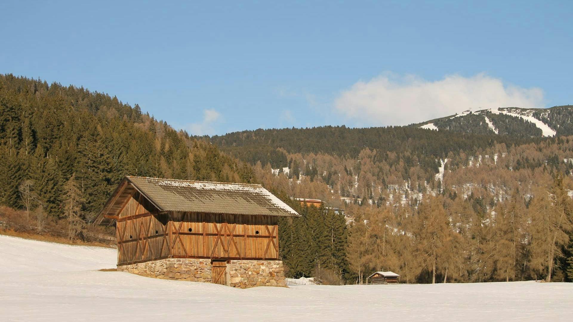 Paesaggio invernale di abeti rossi e pini silvestri con baita tradizionale