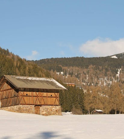 Paesaggio invernale di abeti rossi e pini silvestri con baita tradizionale