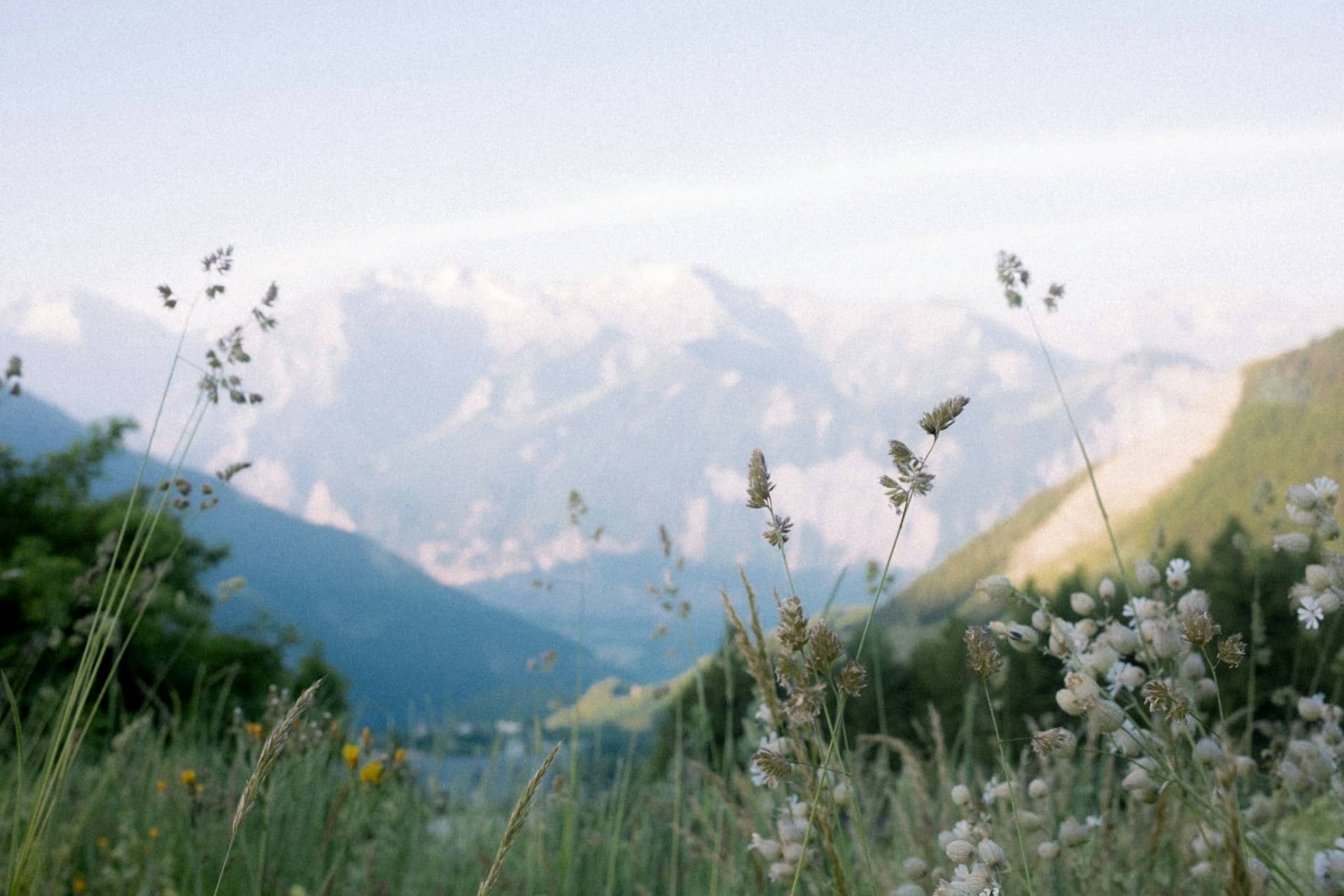 Foto dolomiti di sfondo, escursioni, esperienze, attività con Dolomea