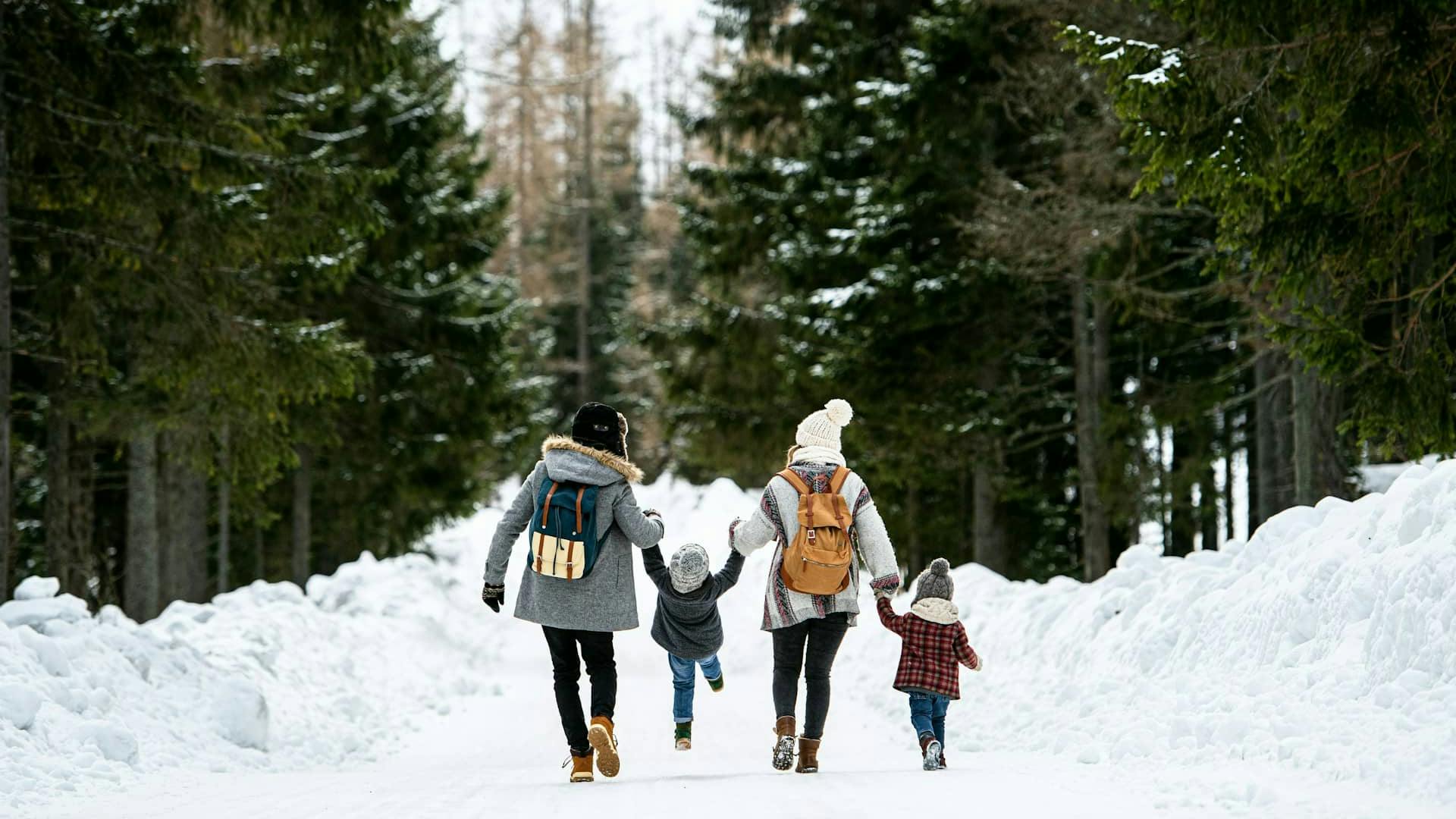 Passeggiata in famiglia in paesaggio invernale