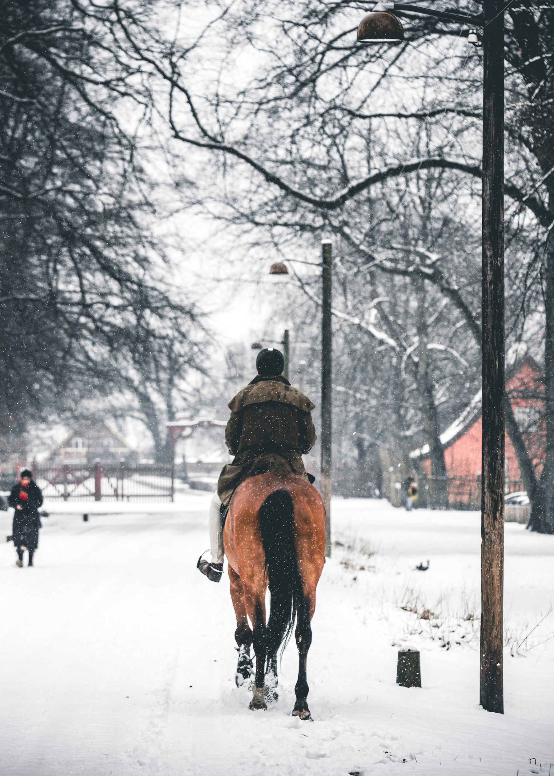 Passeggiata a cavallo