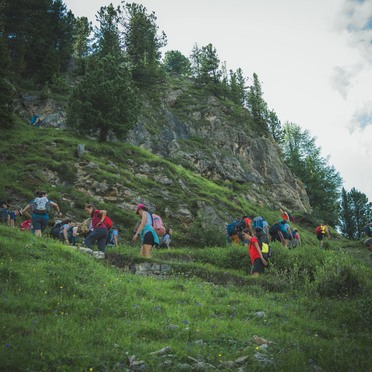 Dolomiti da sogno escursioni di gruppo estive