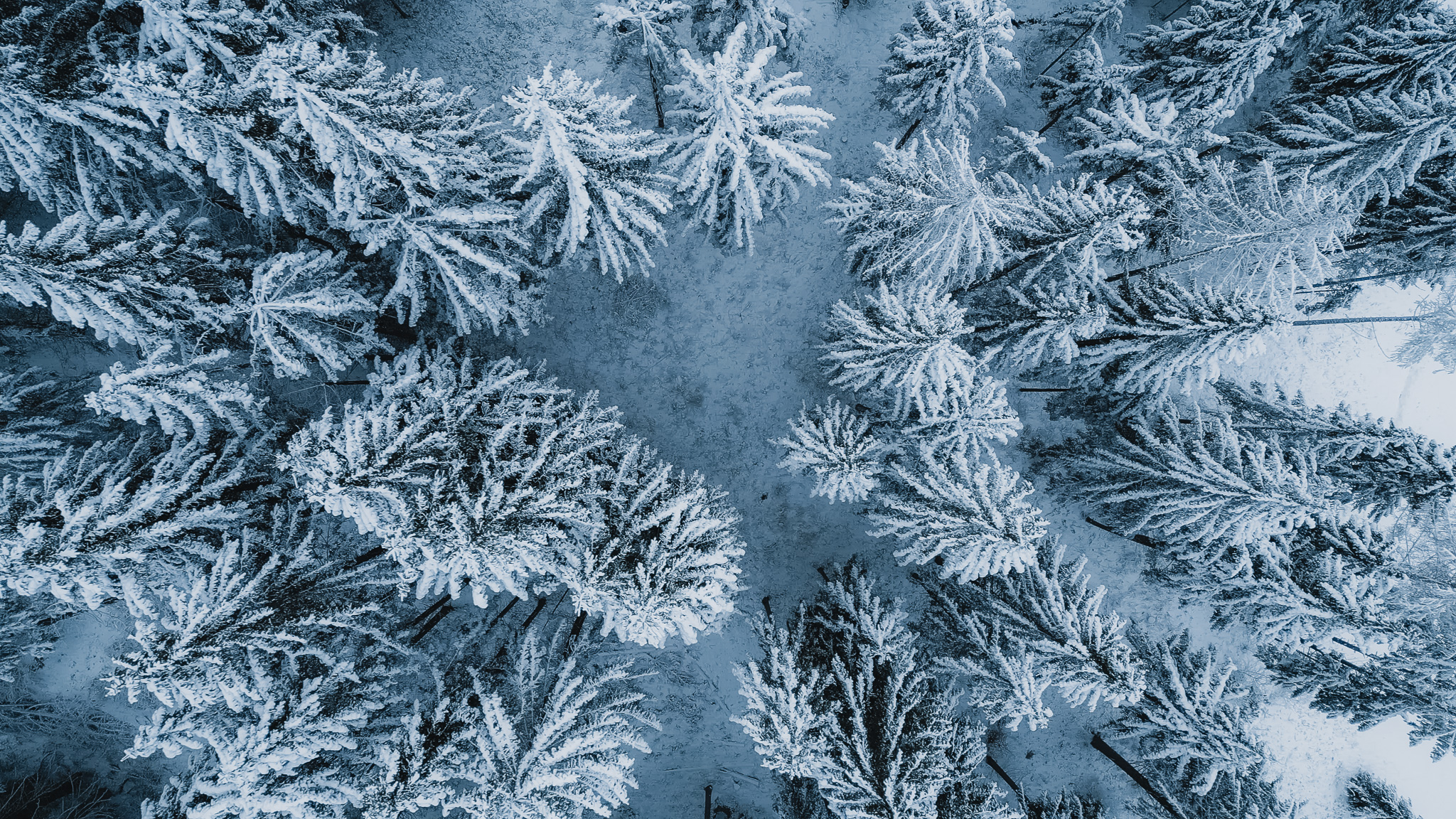 Dolomiti da Sogno community per escursioni di gruppo