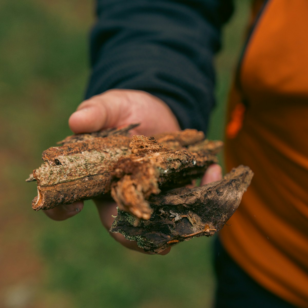Maestra Montagna il progetto educativo dedicato alle gite scolastiche nelle Dolomiti