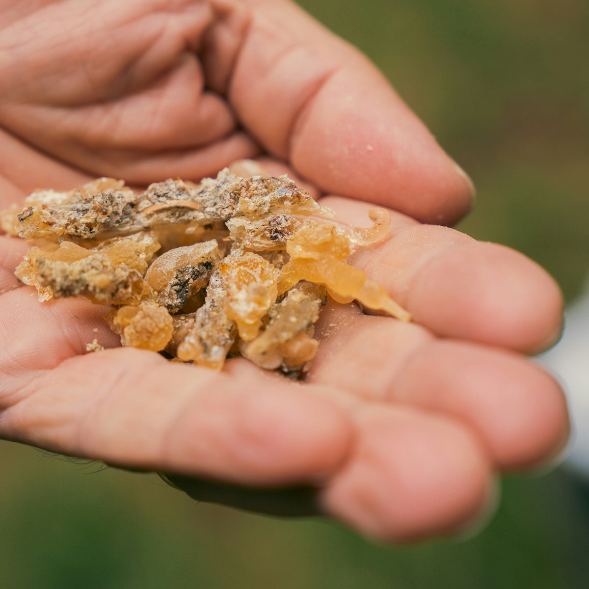 Maestra Montagna il progetto educativo dedicato alle gite scolastiche nelle Dolomiti