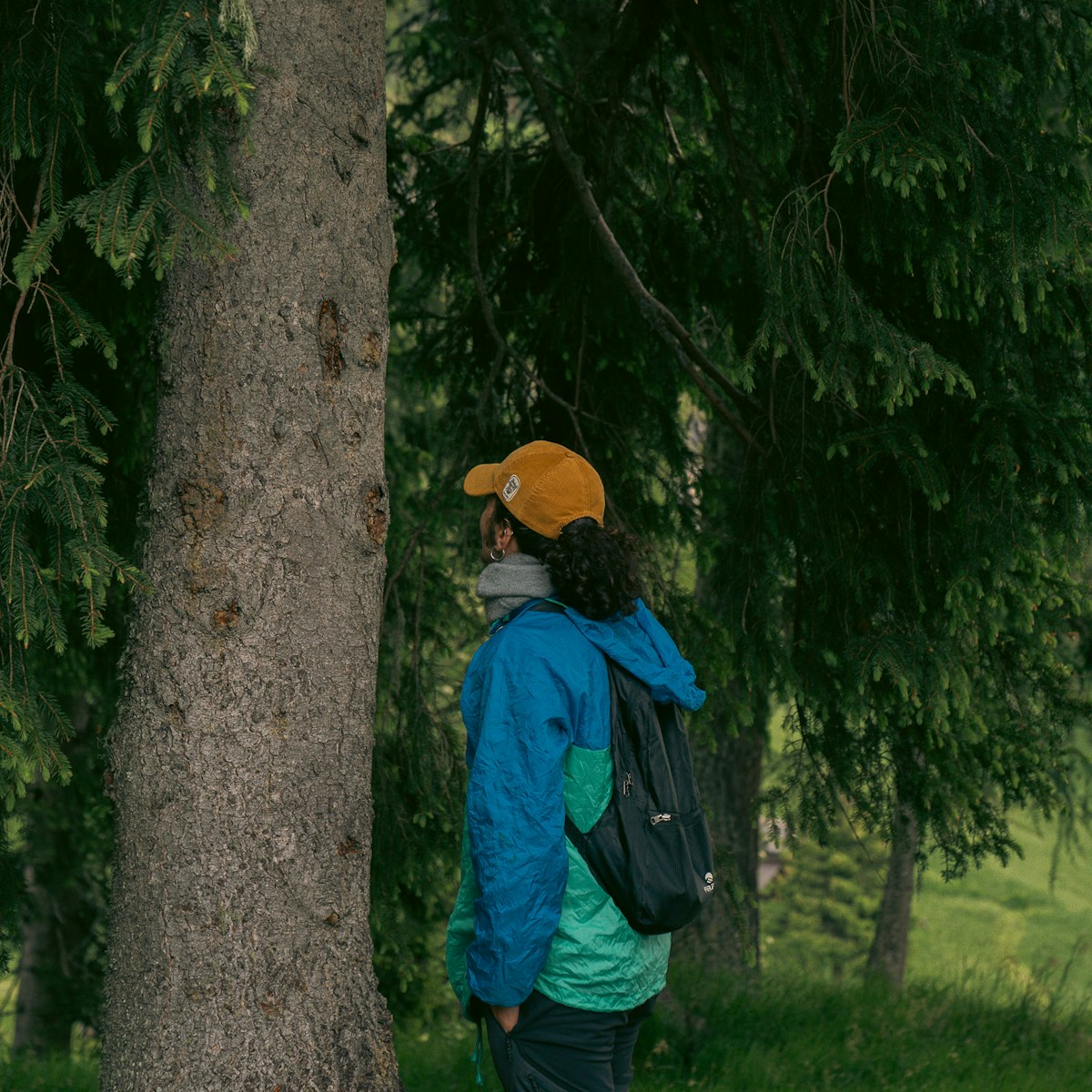 Maestra Montagna il progetto educativo dedicato alle gite scolastiche nelle Dolomiti