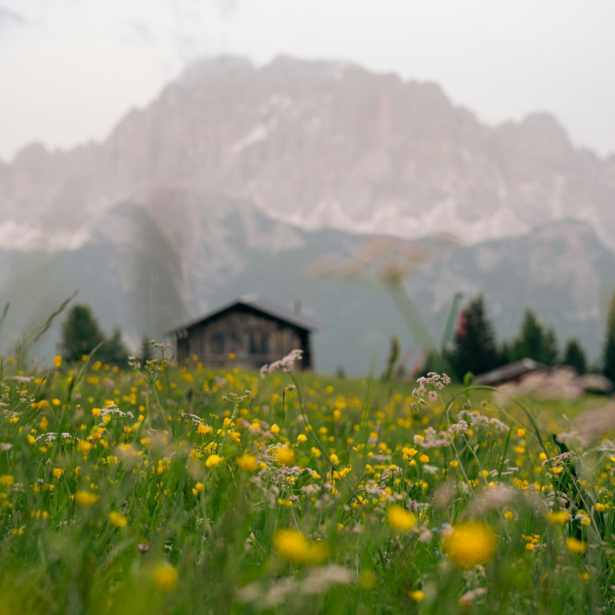 Maestra Montagna il progetto educativo dedicato alle gite scolastiche nelle Dolomiti