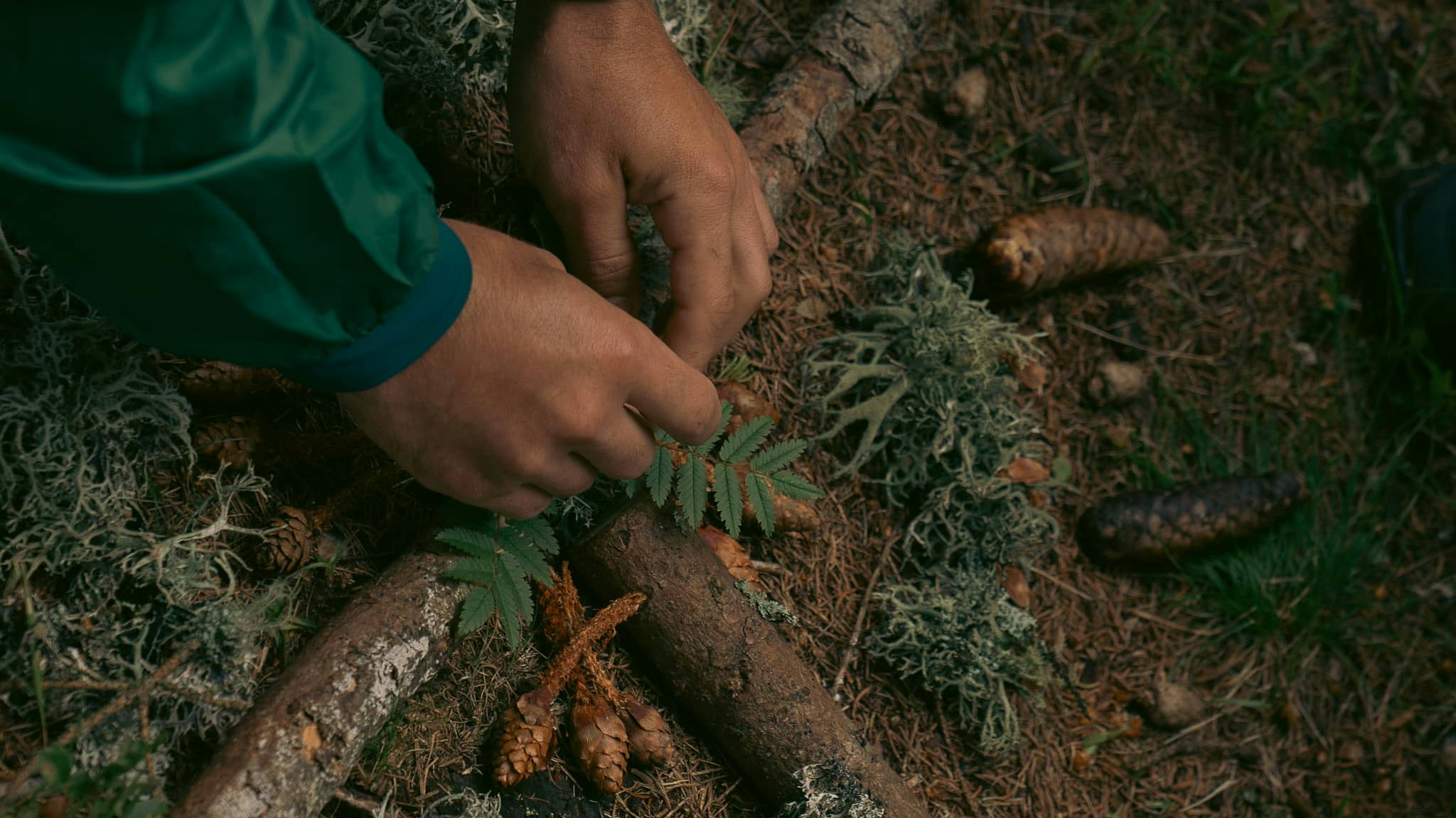 Maestra Montagna il progetto educativo dedicato alle gite scolastiche nelle Dolomiti