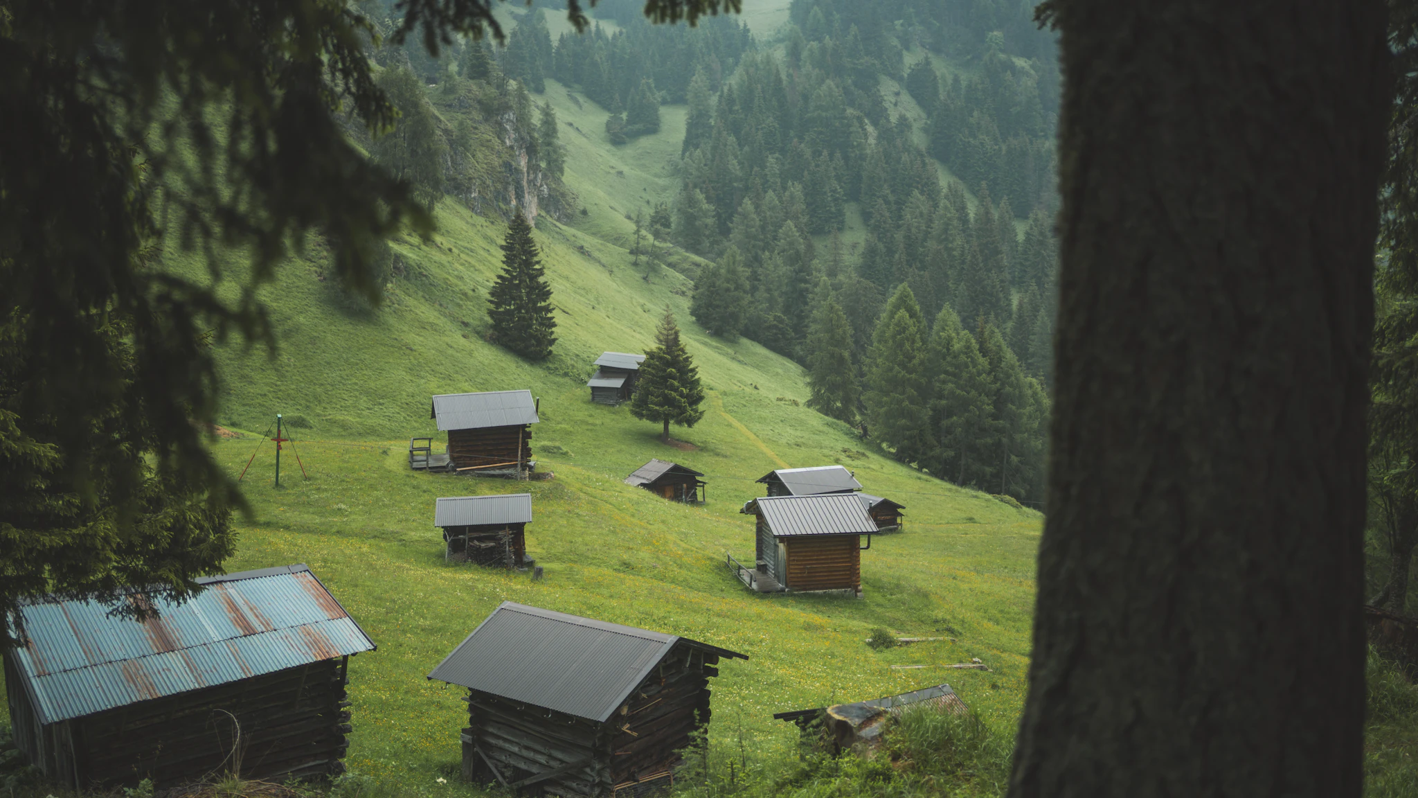 Escursioni estate Dolomiti