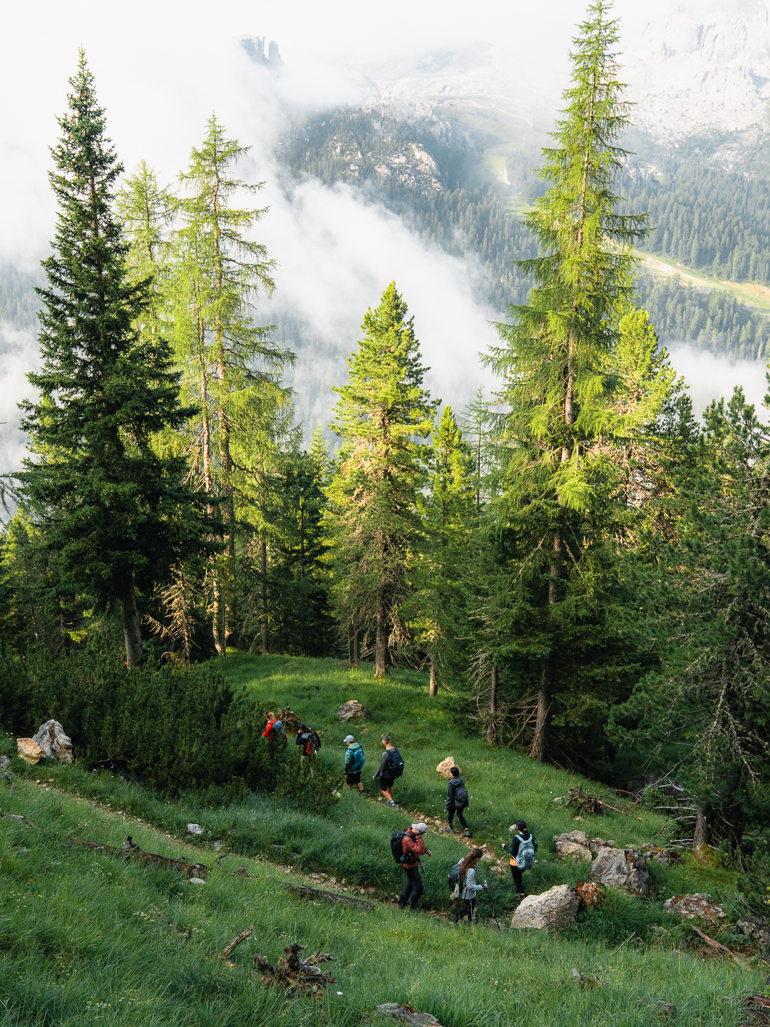 Dolomiti da sogno escursioni di gruppo estive