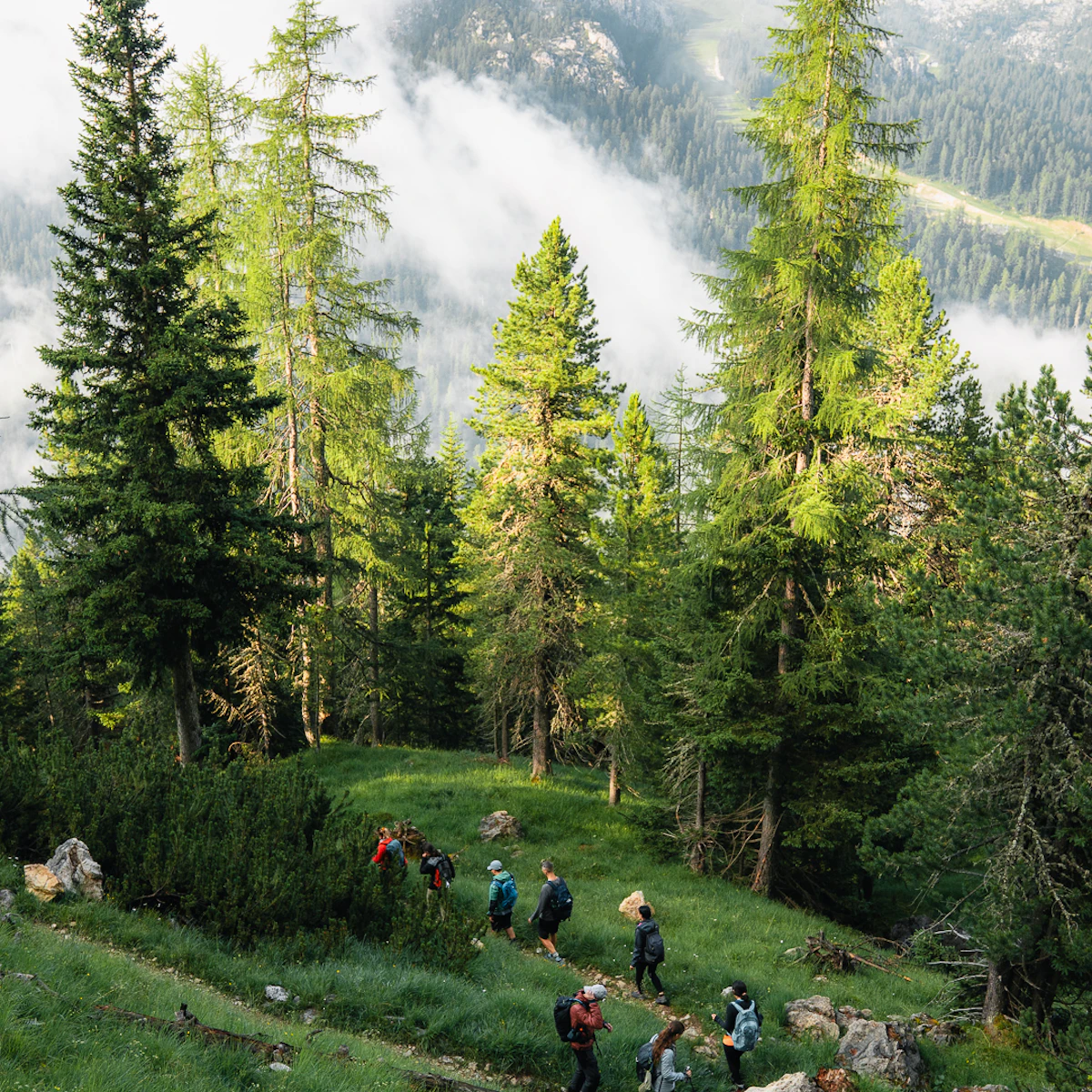 Dolomiti da sogno escursioni di gruppo estive