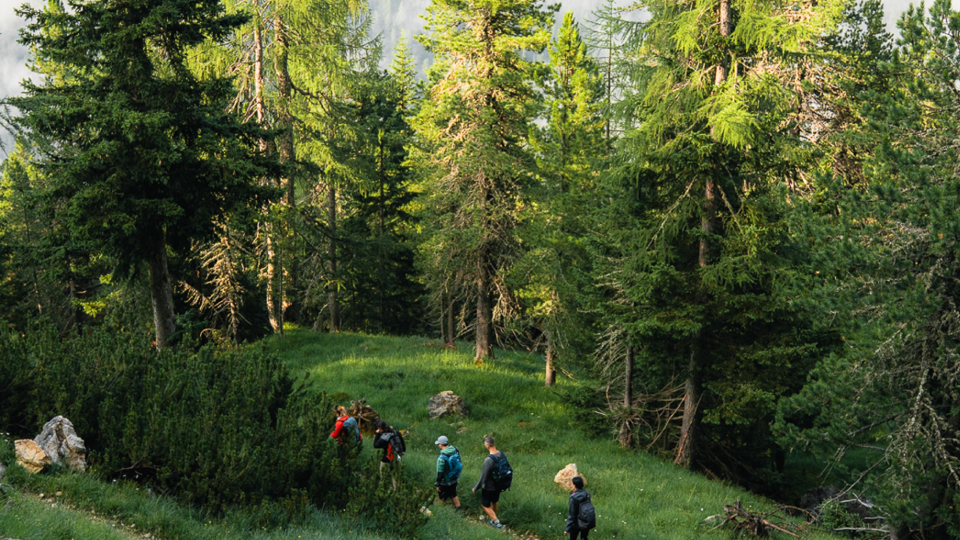 Trekking "Oltre i silenzi" al Rifugio Padova