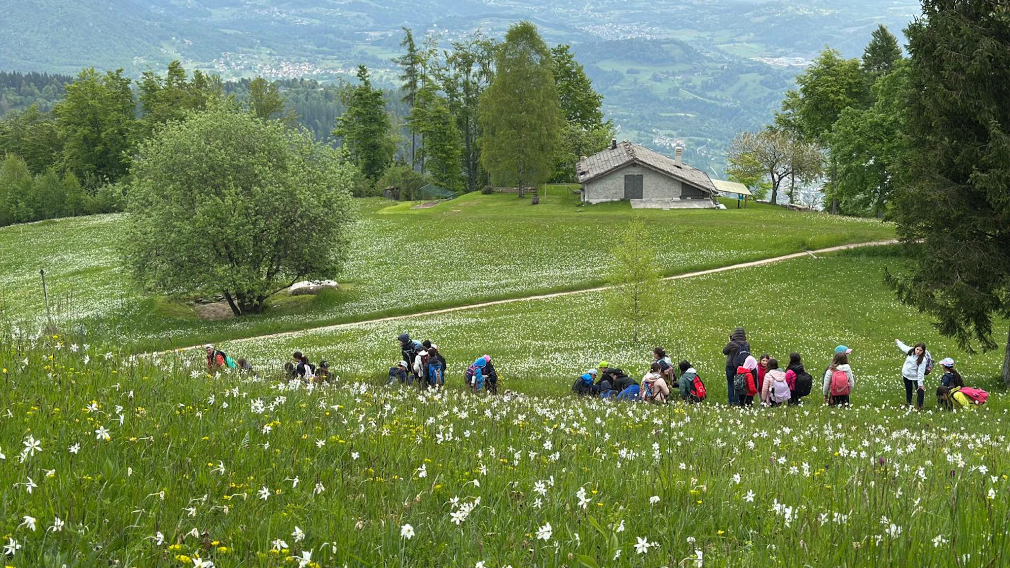 Escursione floreale sul Monte Avena | 17 maggio