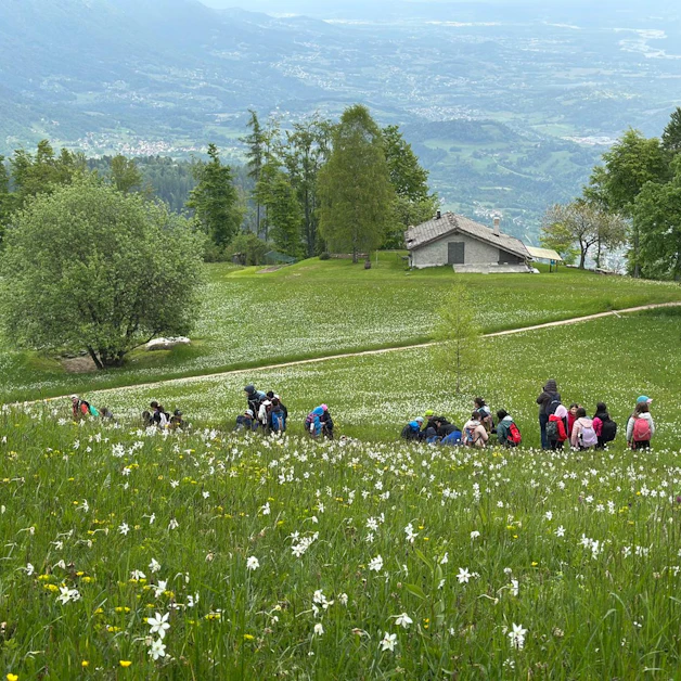 Escursione floreale sul Monte Avena