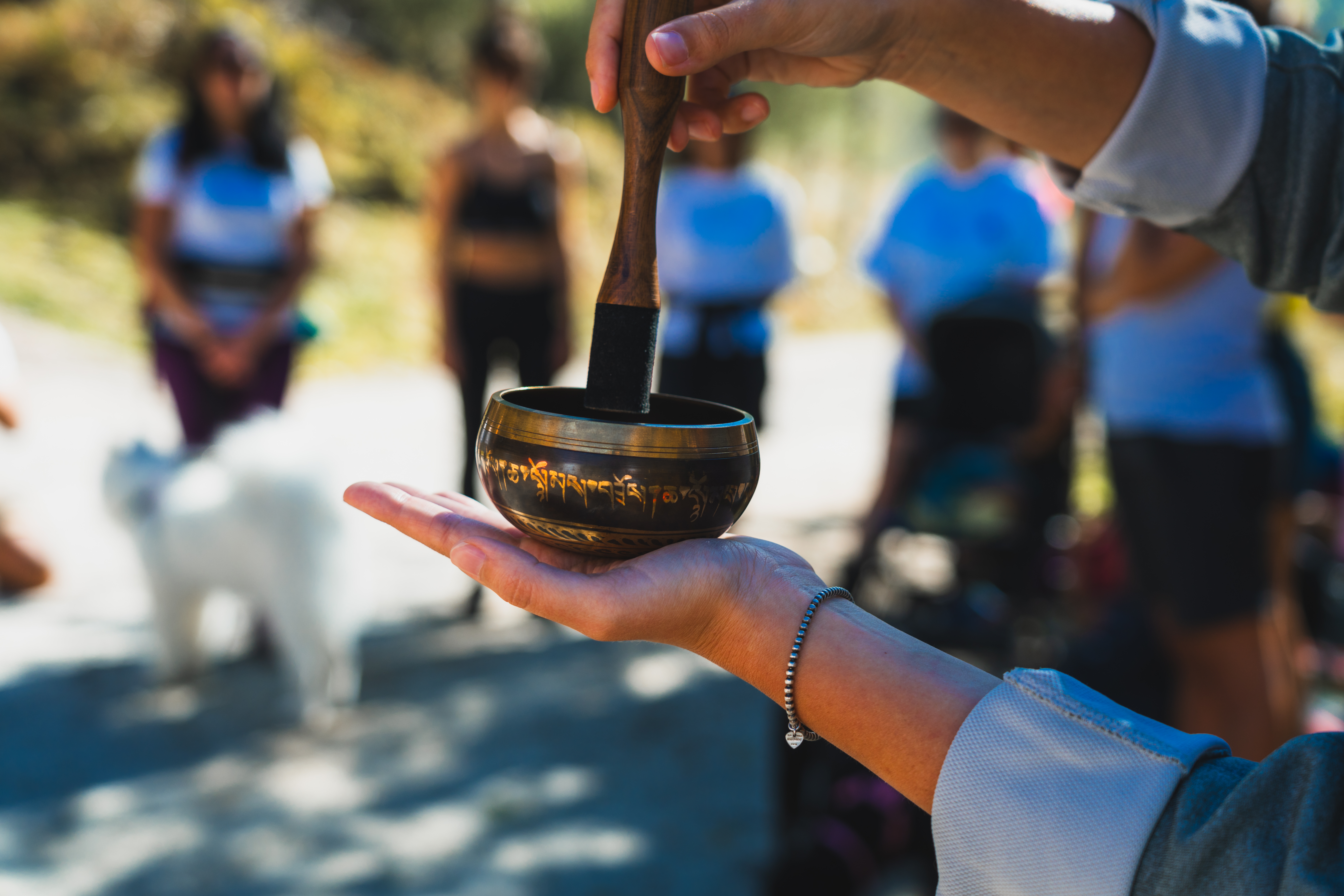 Retreat mindfulness Dolomiti