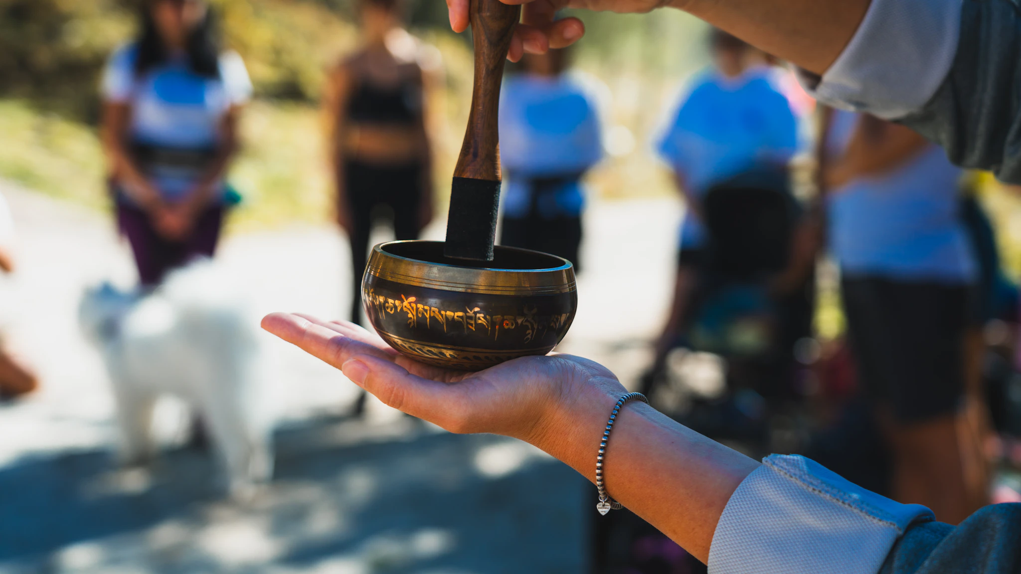 Retreat mindfulness e meditazione sulle Dolomiti