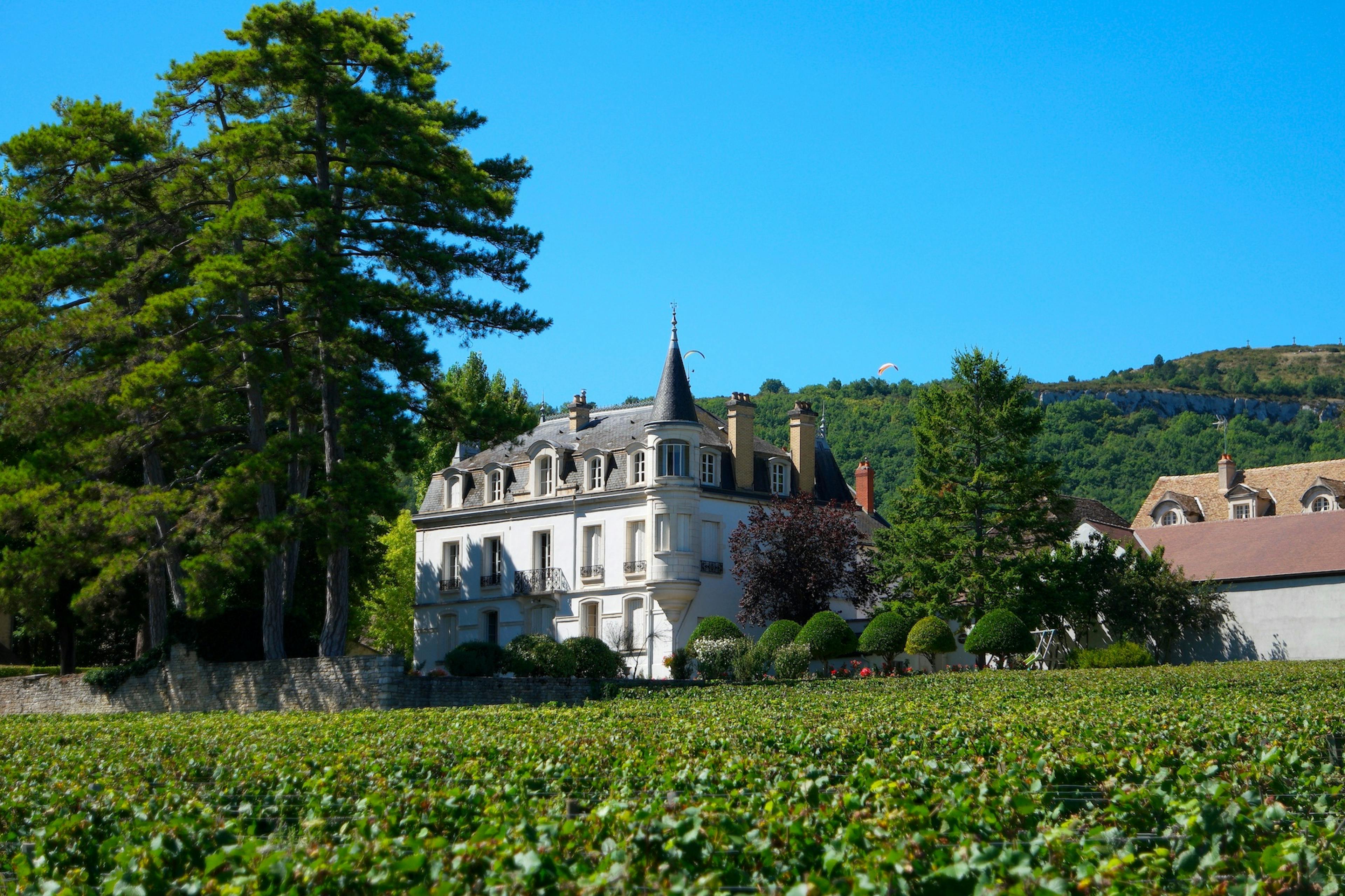 Château du Domaine Chapelle & Fils 