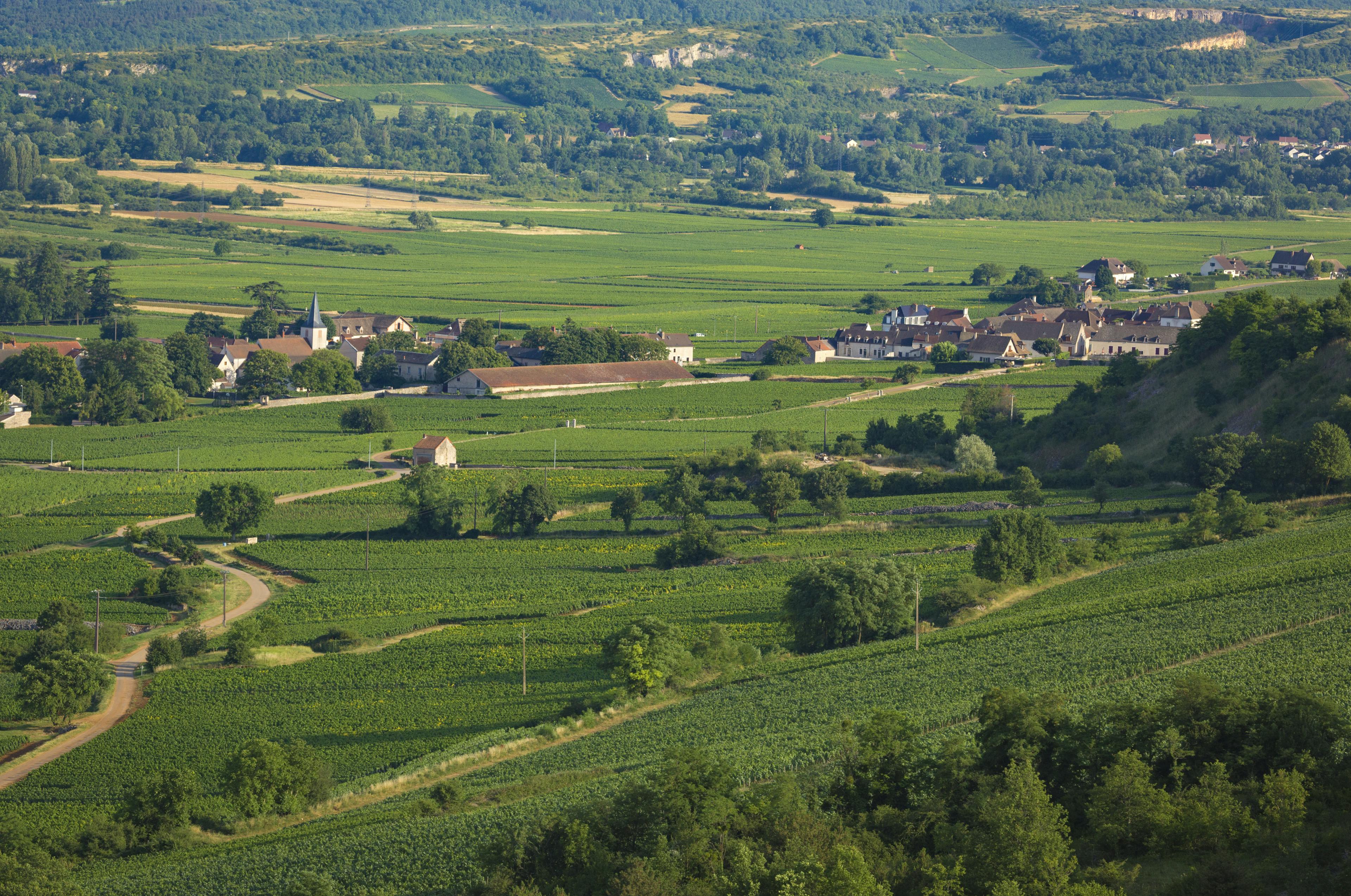 Bourgogne Aligoté Les Équinces