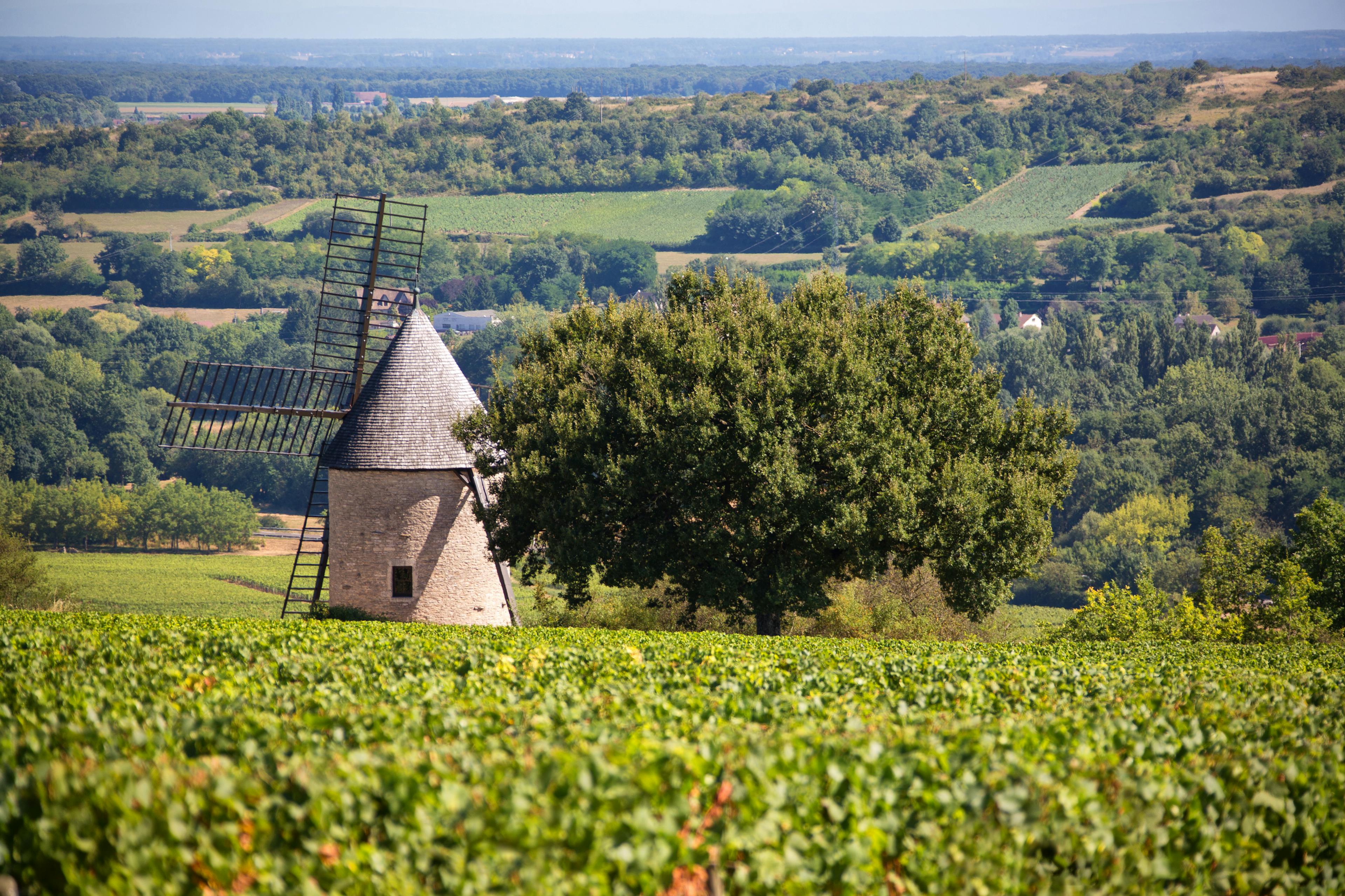 Moulin de Santenay par BIVB / www.armellephotographe.com