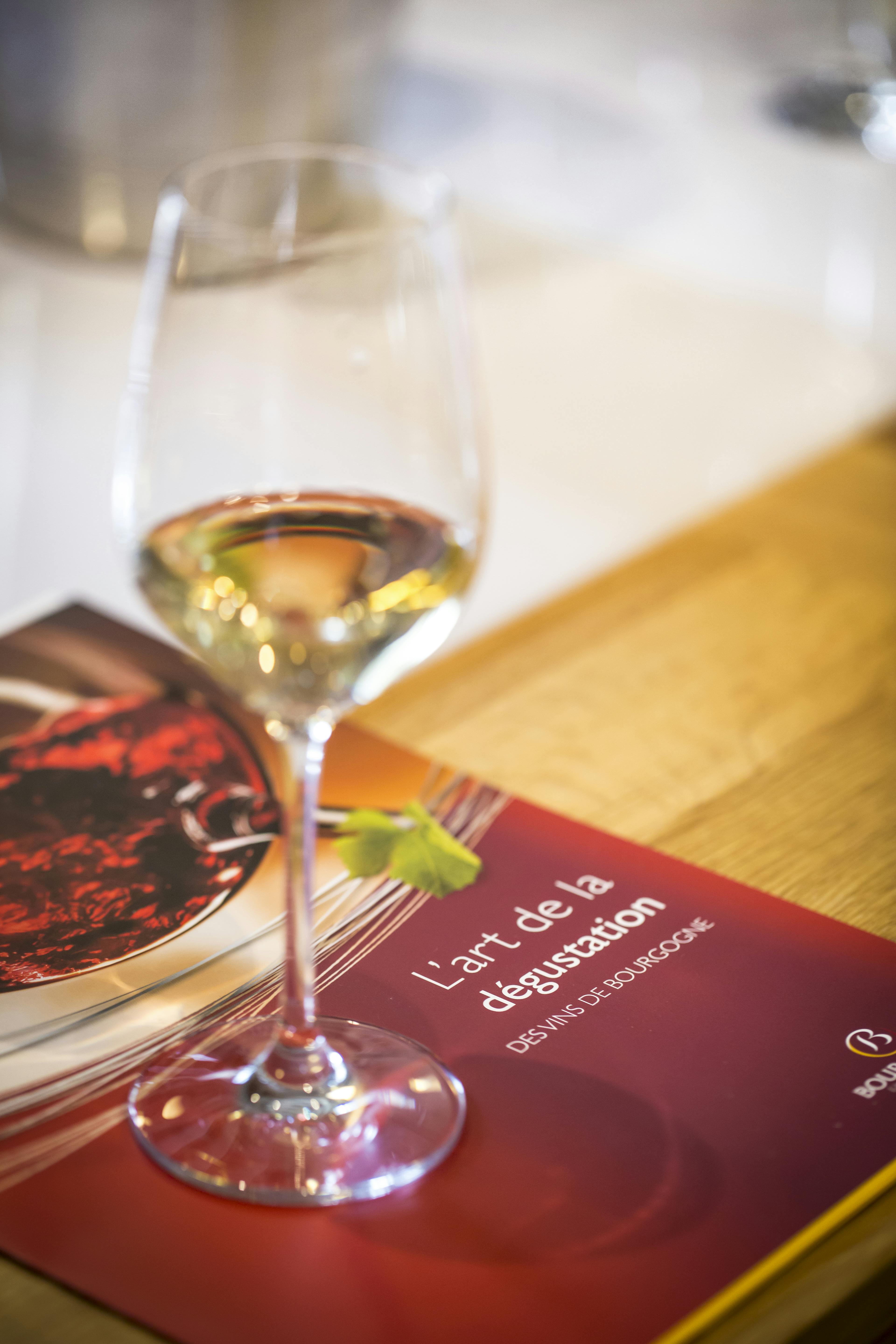 Initiation à la dégustation - BIVB / Aurélien IBANEZ