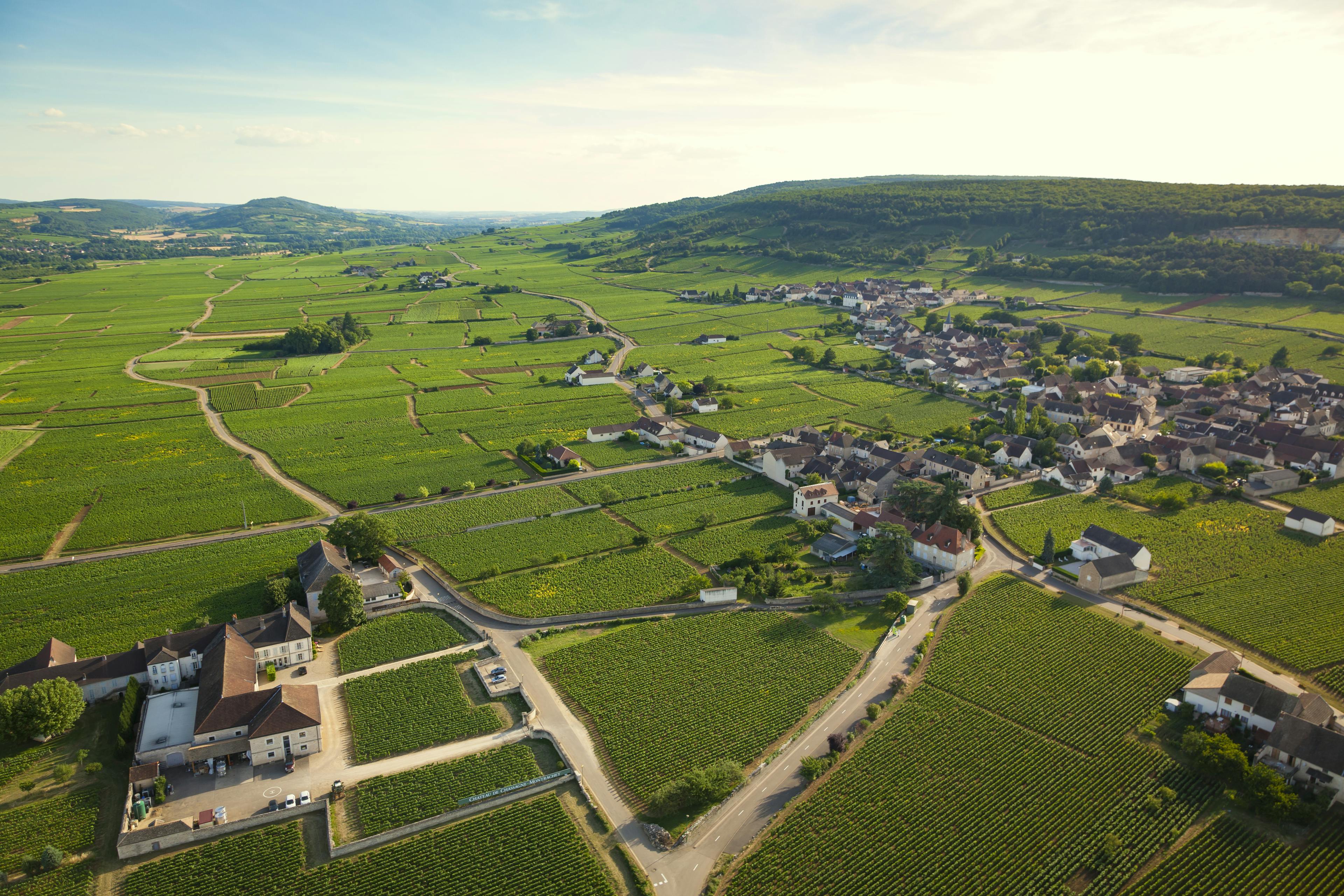 Chassagne Montrachet par BIVB/Aurélien IBANEZ