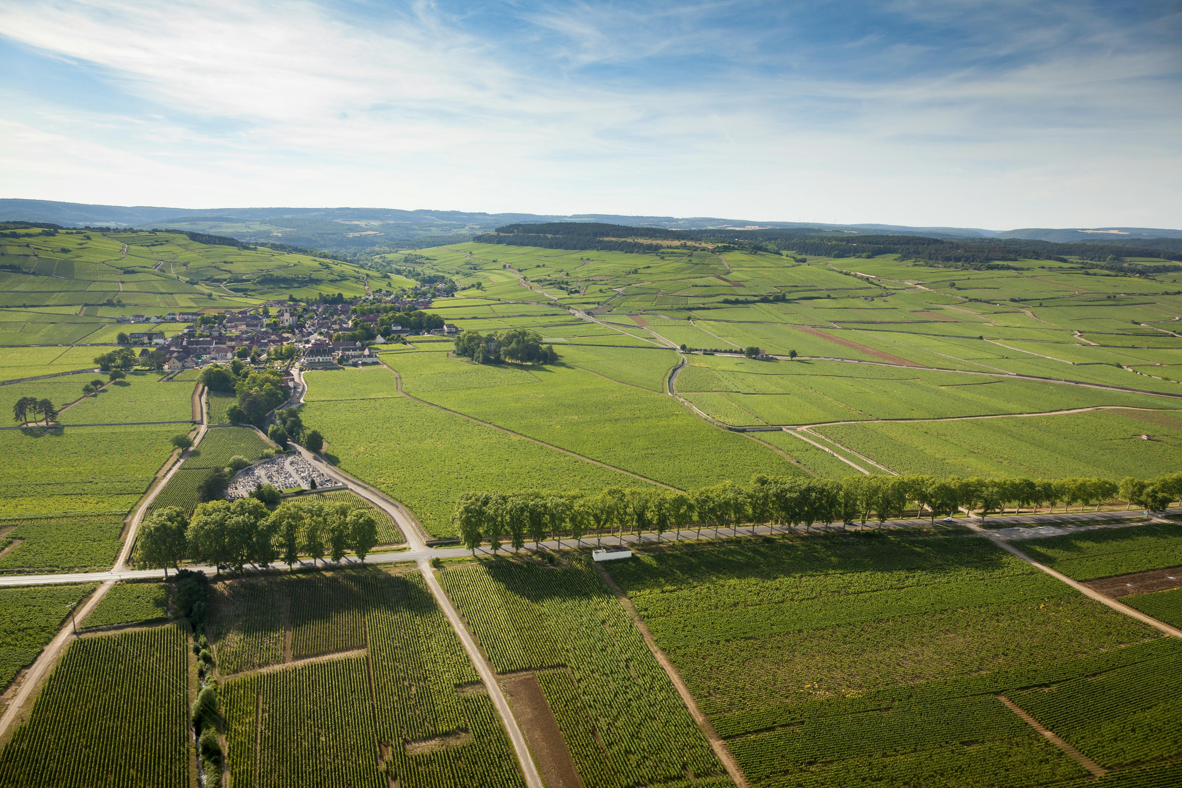 Pommard by BIVB/Aurélien IBANEZ