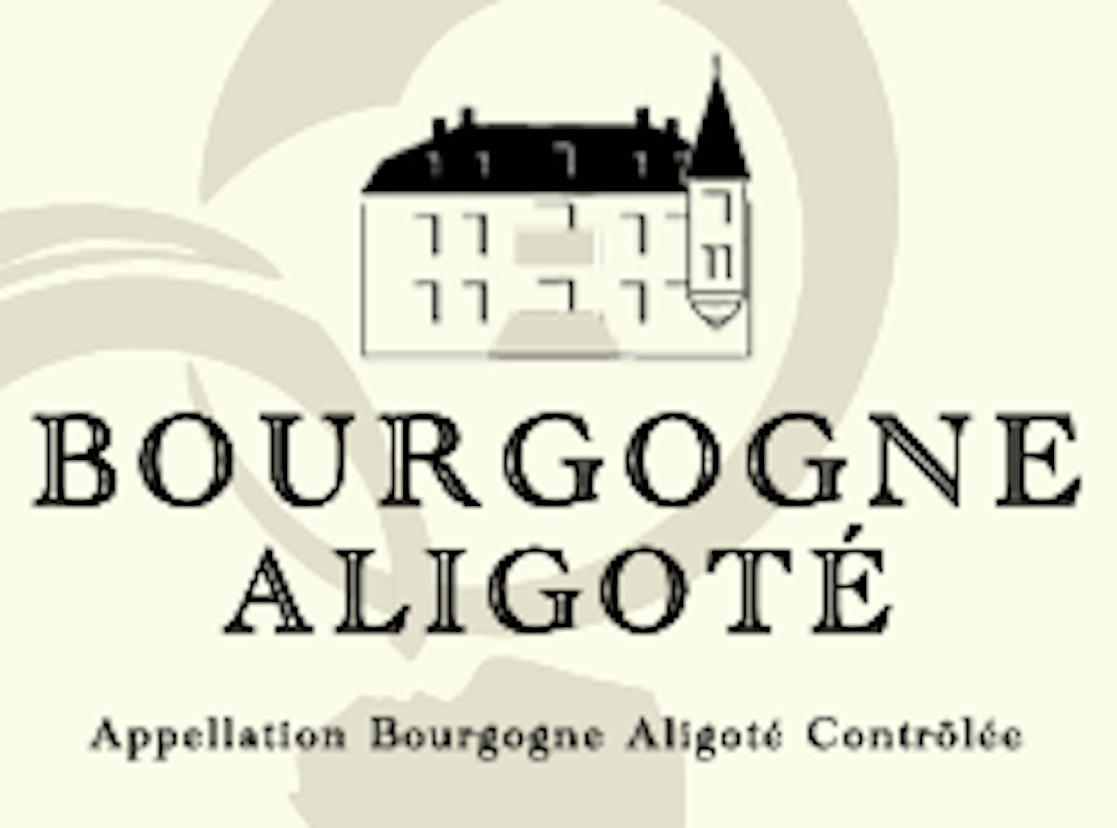 Bourgogne Aligoté - Domaine Chapelle & Fils
