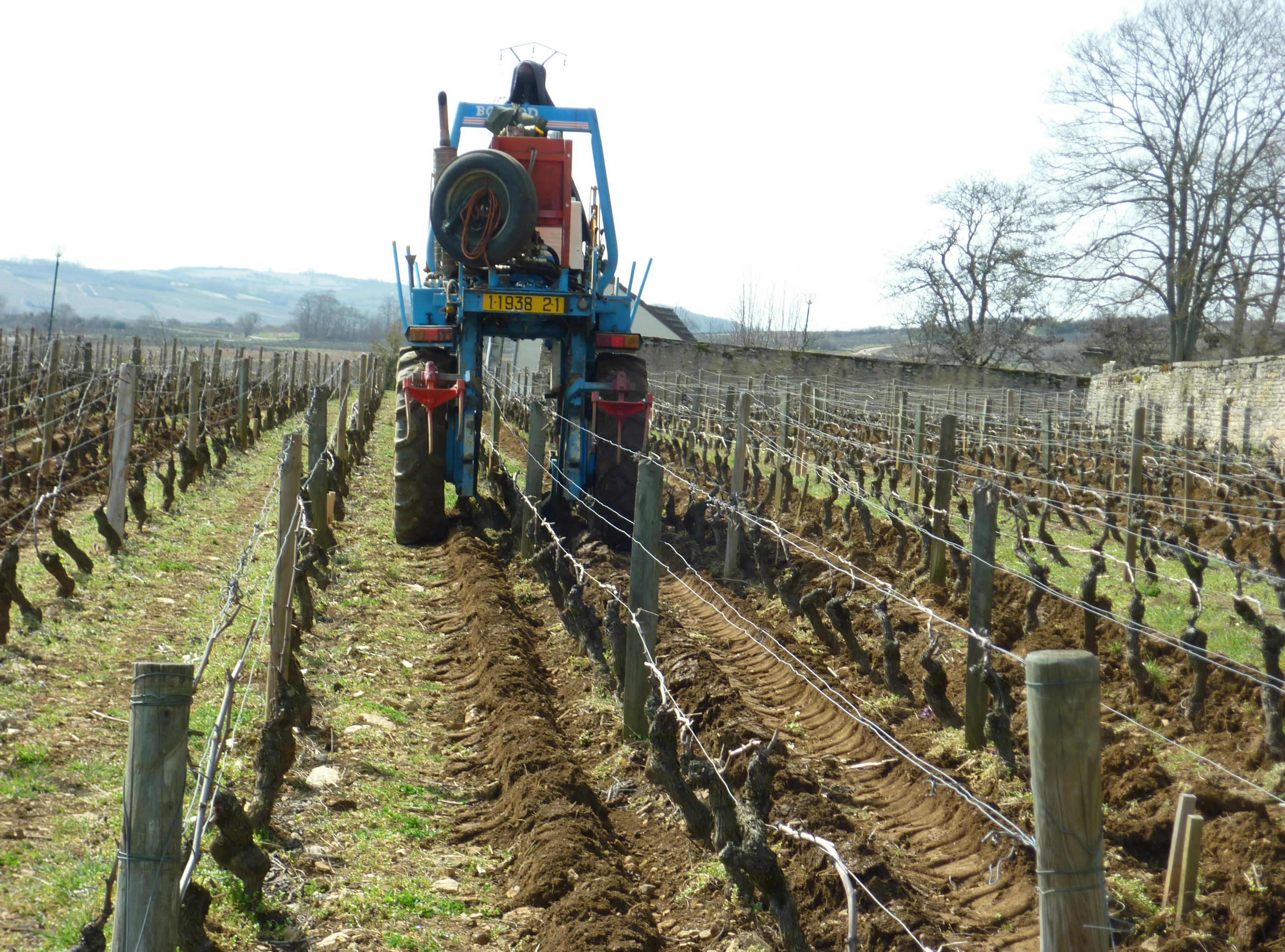 Travail du sol - Domaine Chapelle & Fils