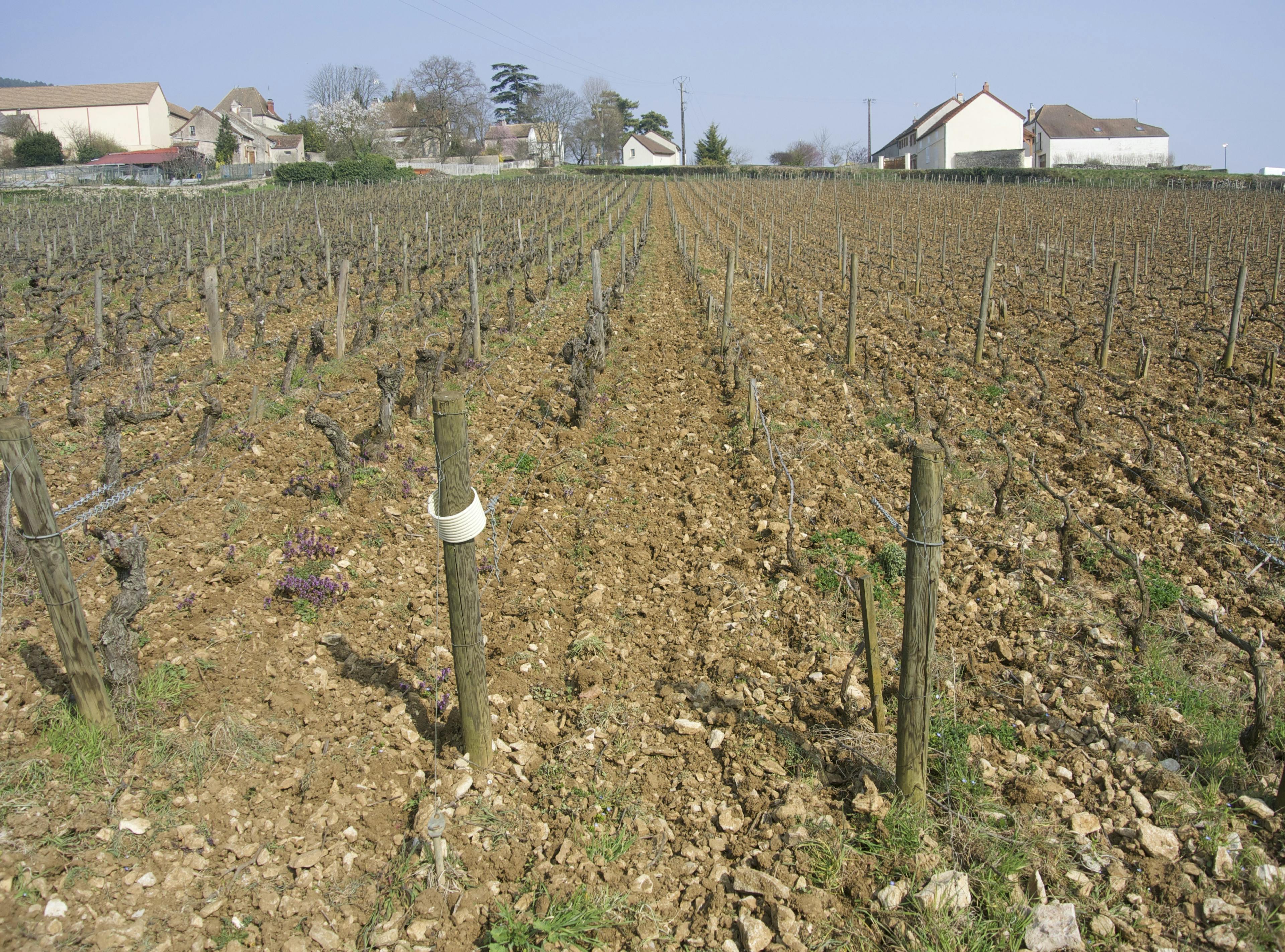 Travail mécanique sur 100% du Domaine Chapelle & Fils