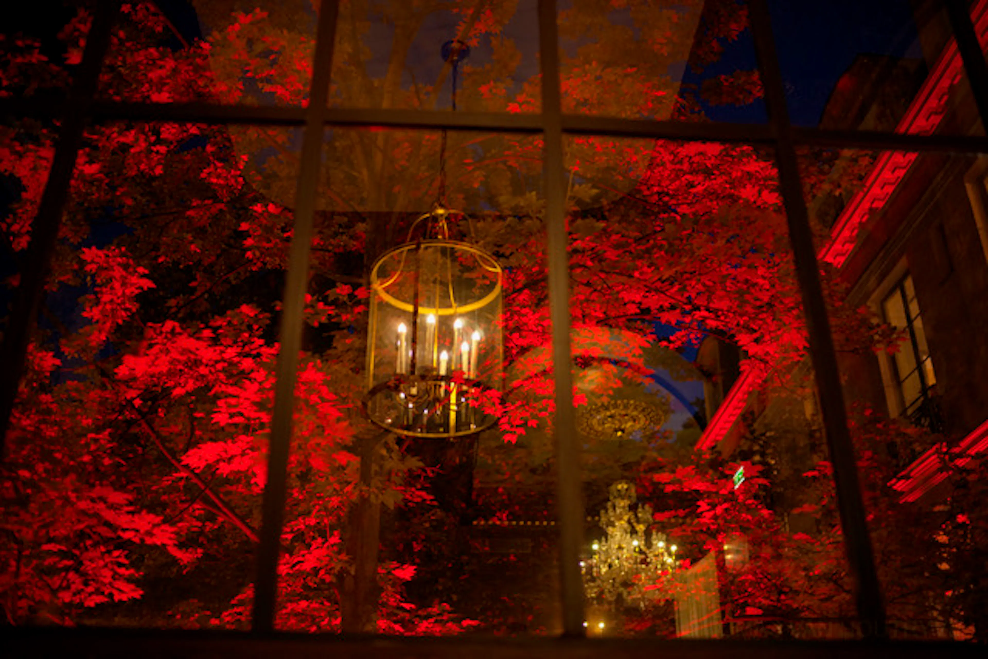 Atelier photographie Van Houtryve Domaine de Cazenac