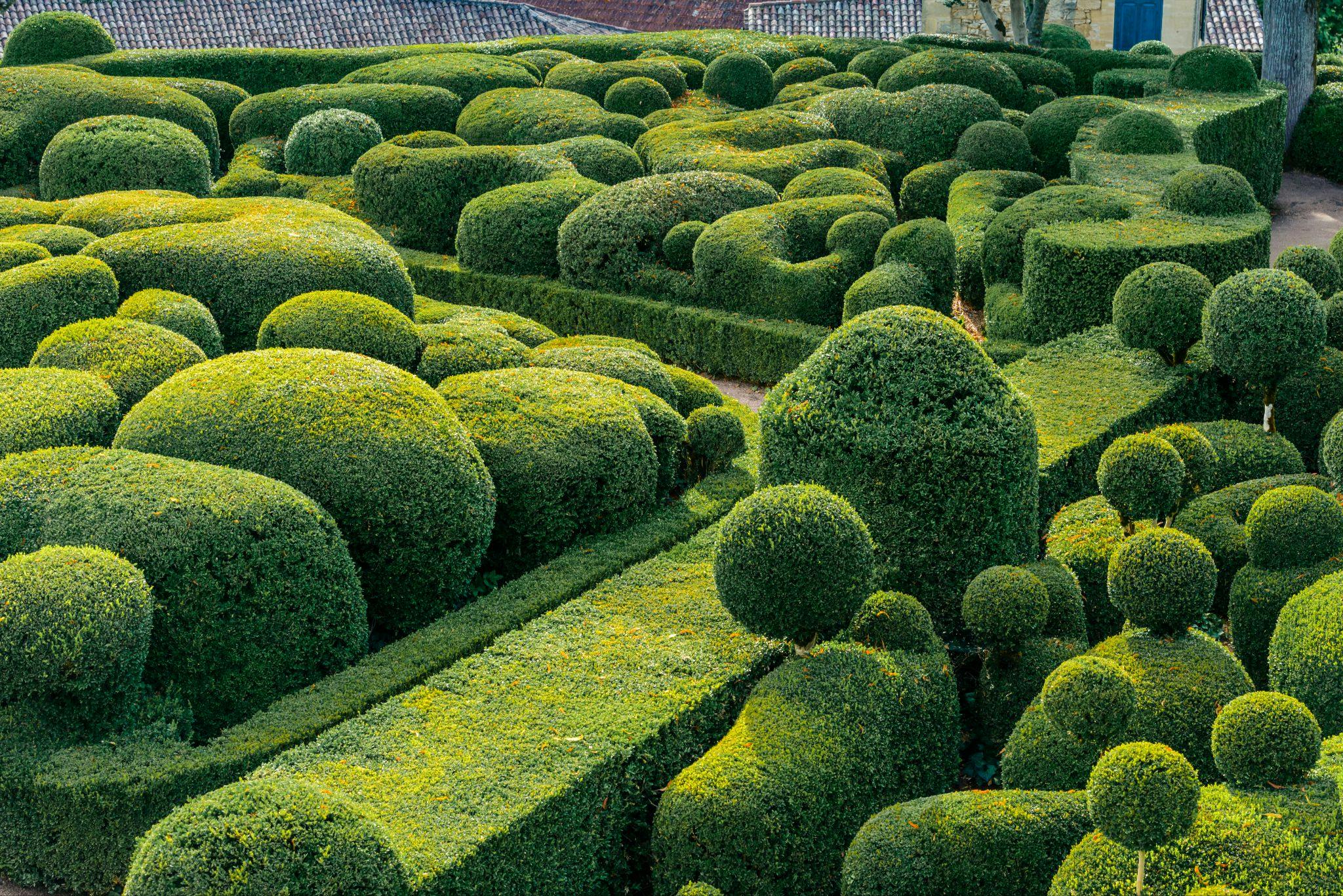 Jardins remarquables de Marqueyssac